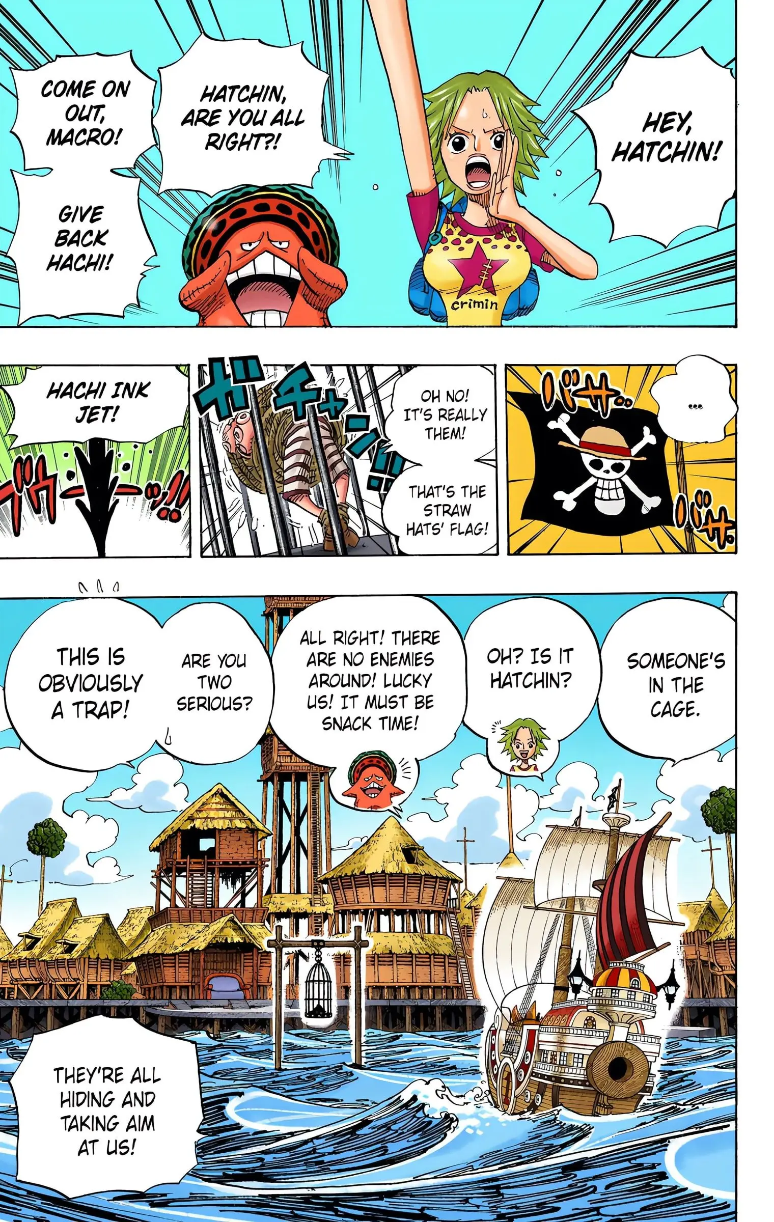 One Piece Colored, chapter 492, page 17