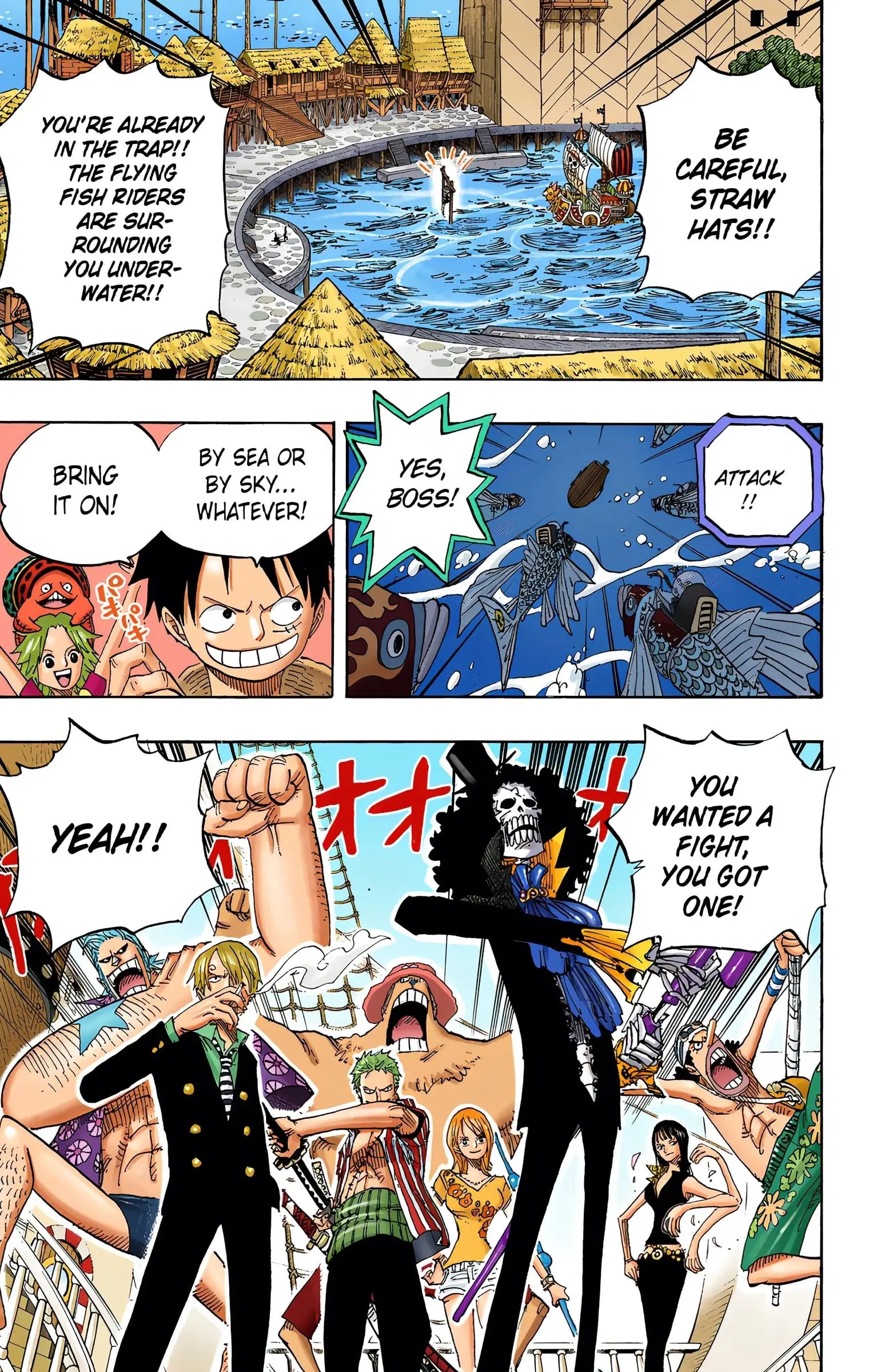 One Piece Colored, chapter 492, page 25
