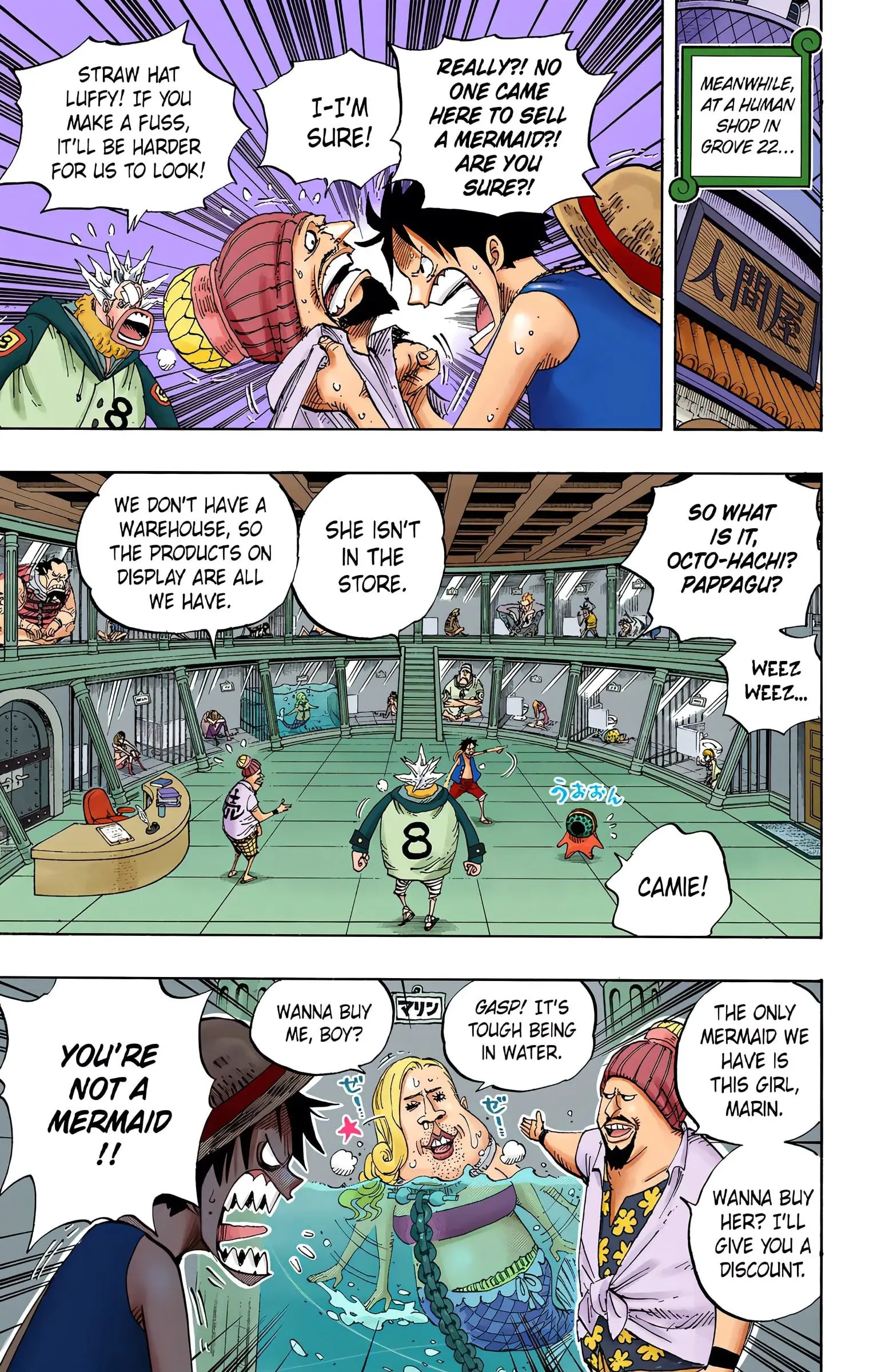 One Piece Colored, chapter 500, page 7
