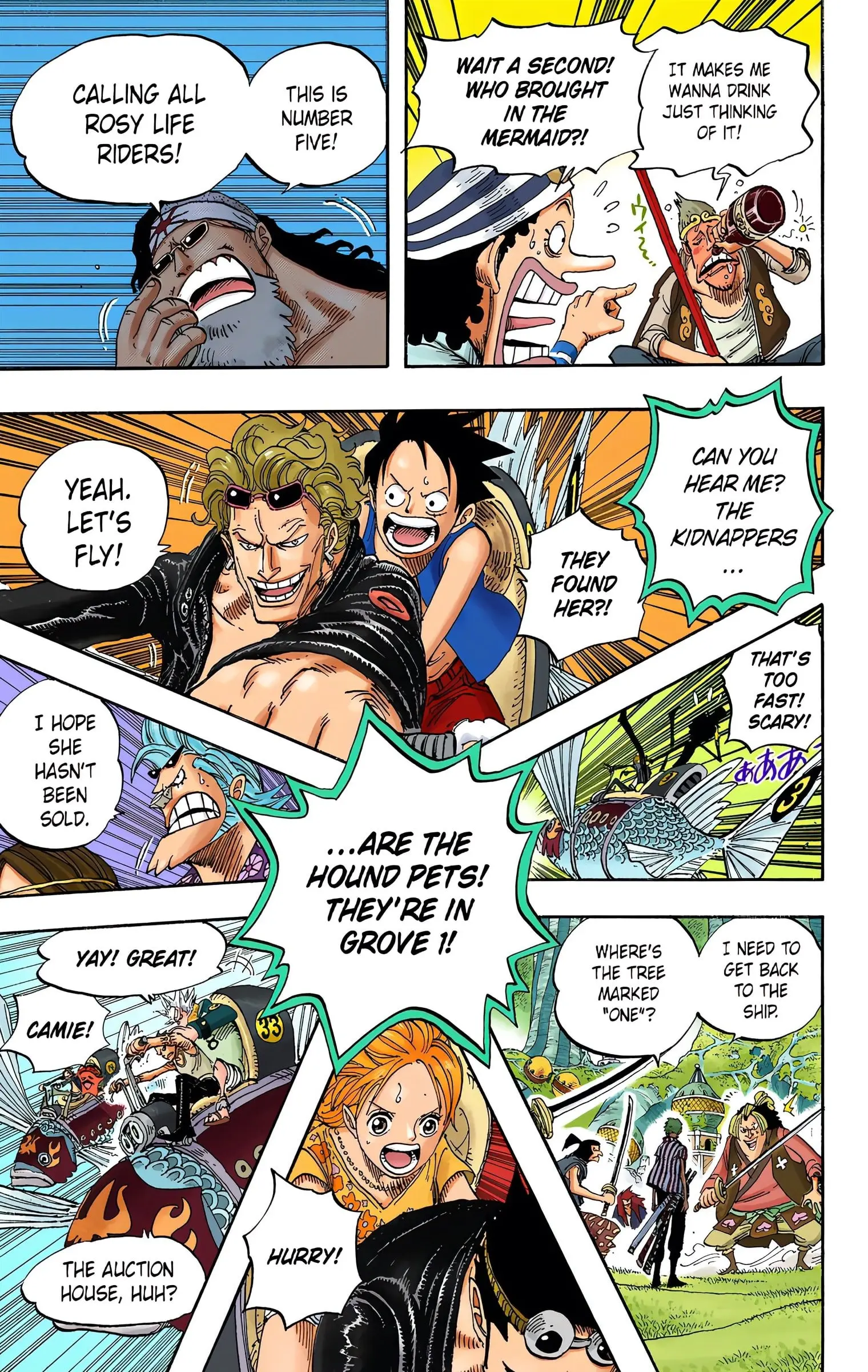 One Piece Colored, chapter 501, page 8