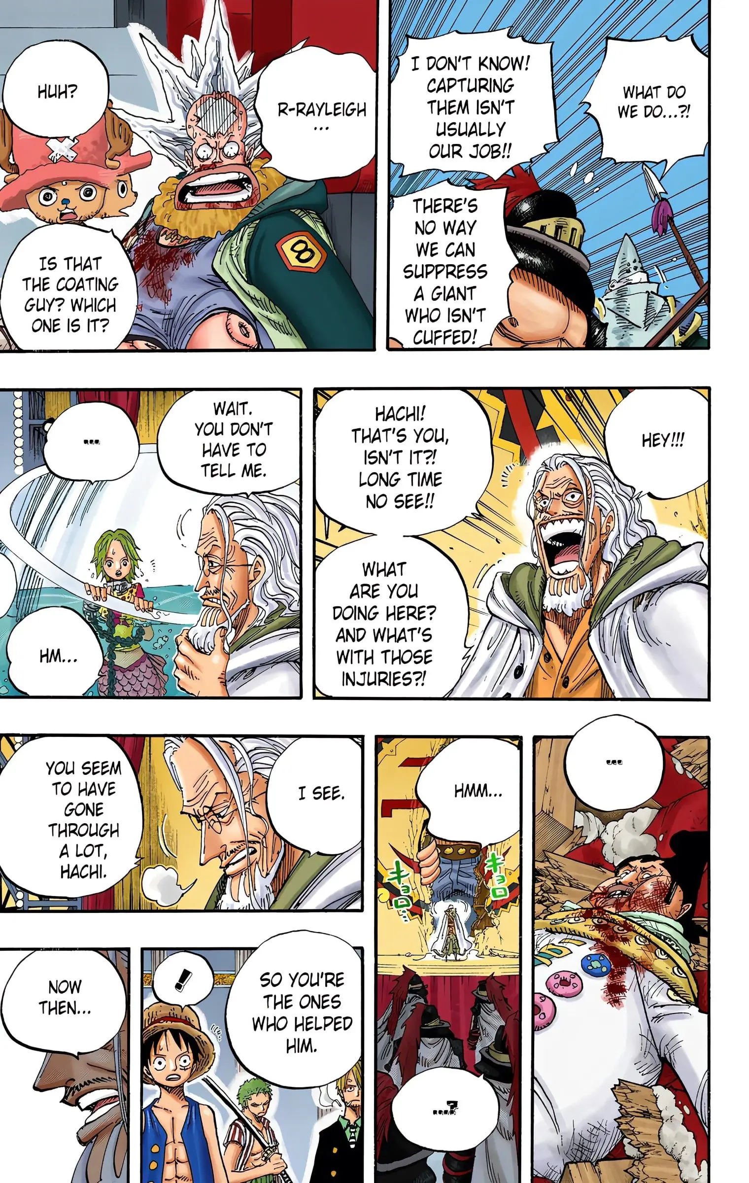 One Piece Colored, chapter 503, page 24