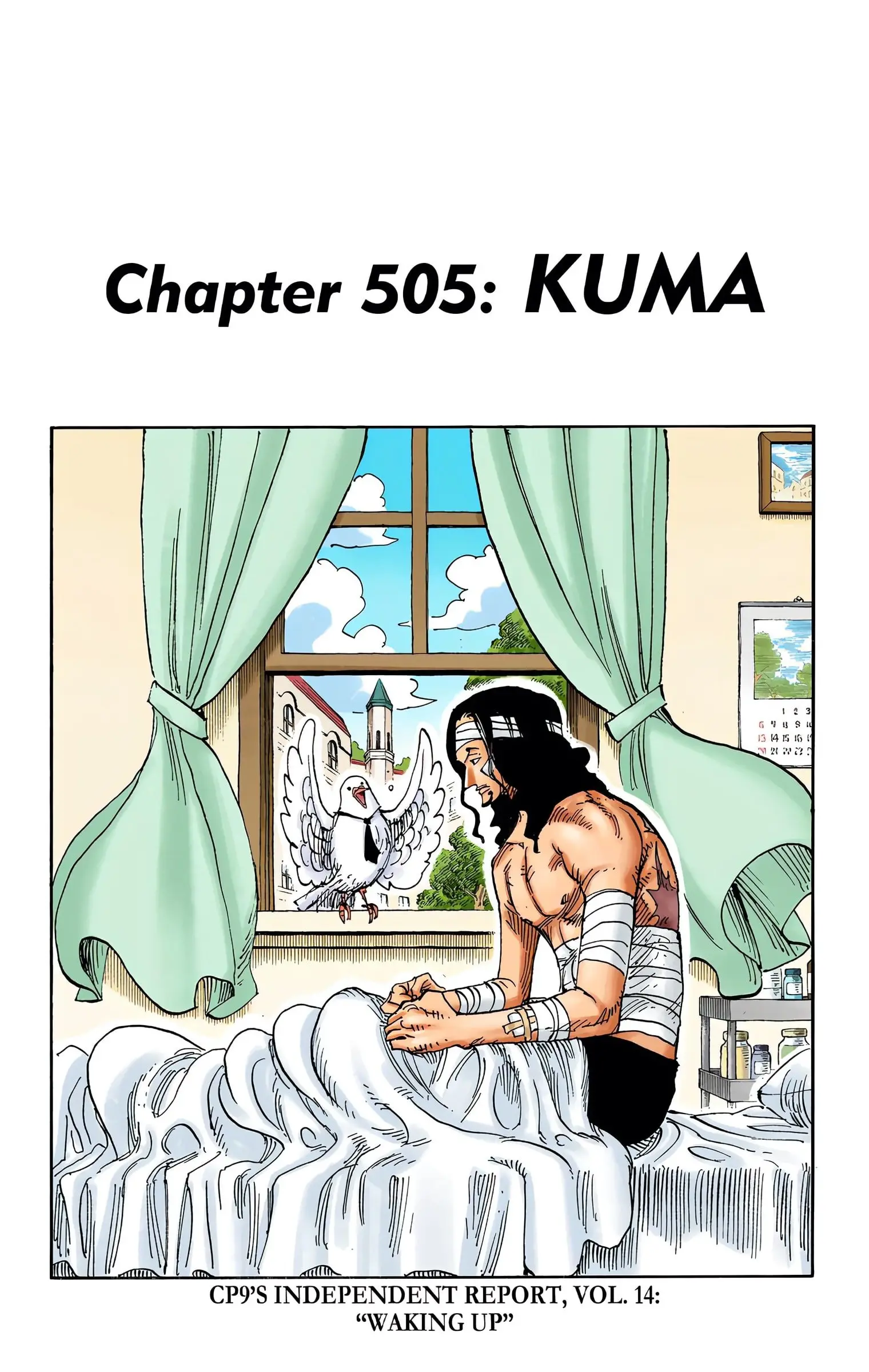 One Piece Colored, chapter 505, page 1