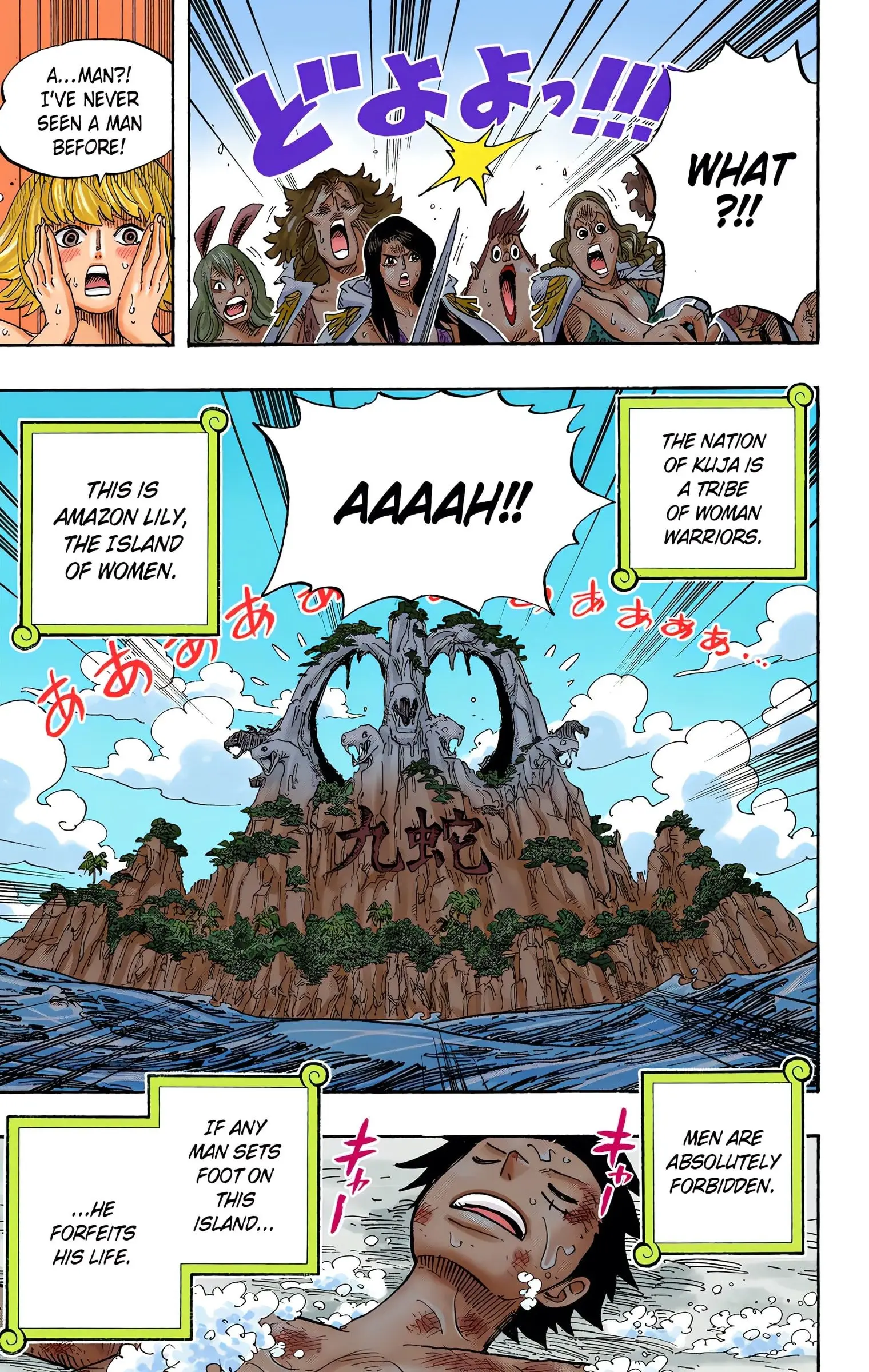 One Piece Colored, chapter 514, page 18