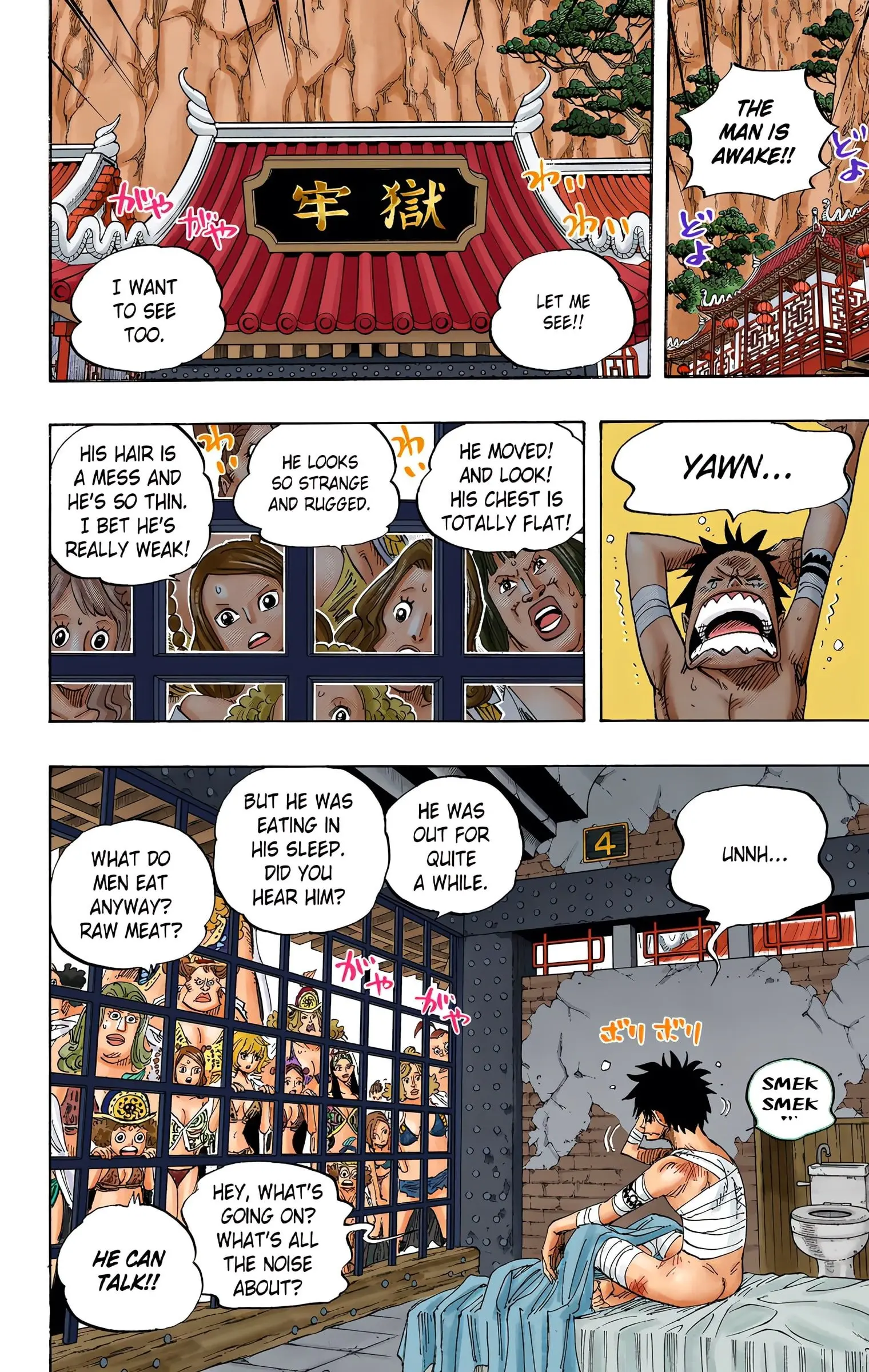 One Piece Colored, chapter 515, page 5