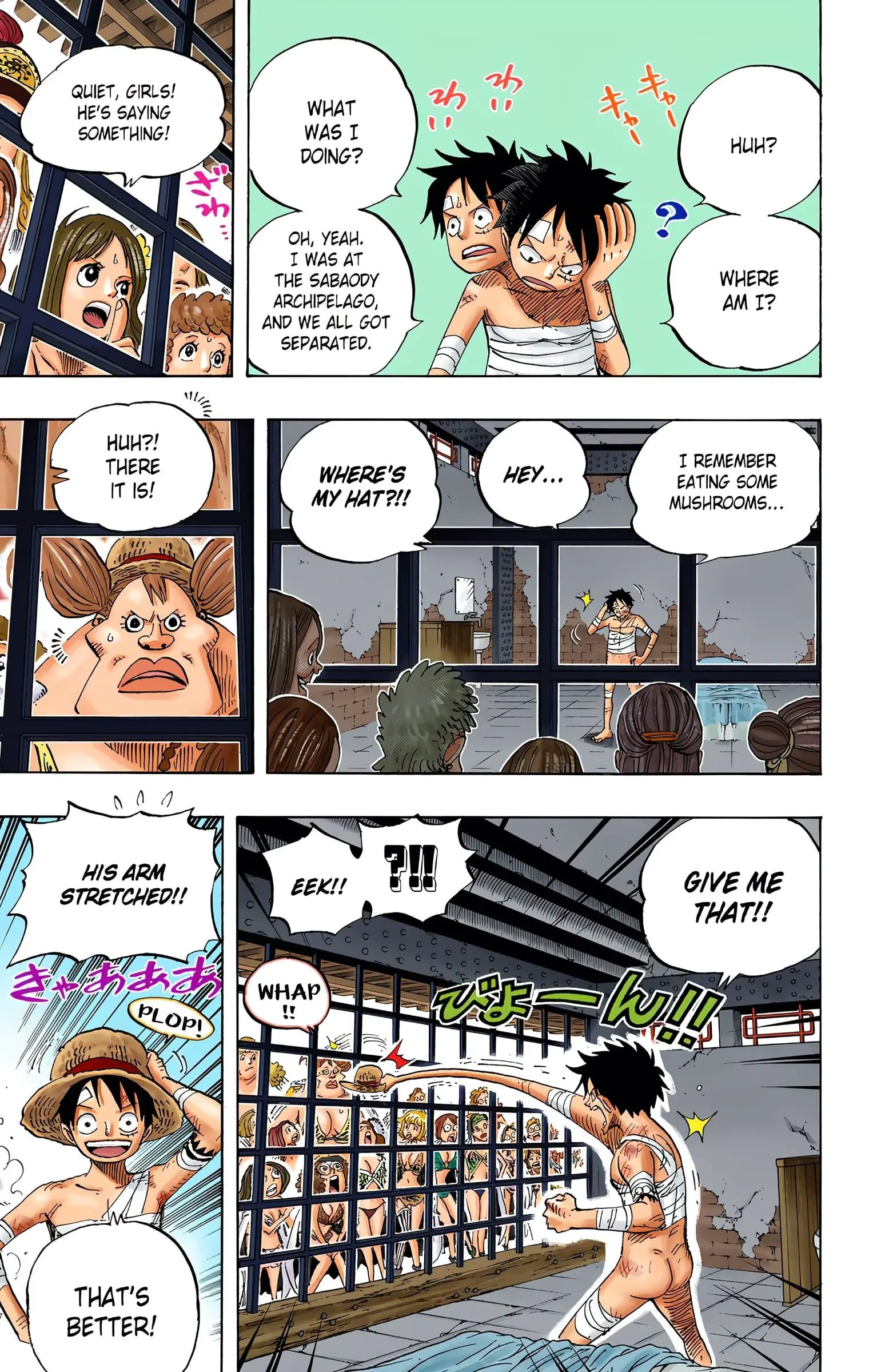 One Piece Colored, chapter 515, page 6