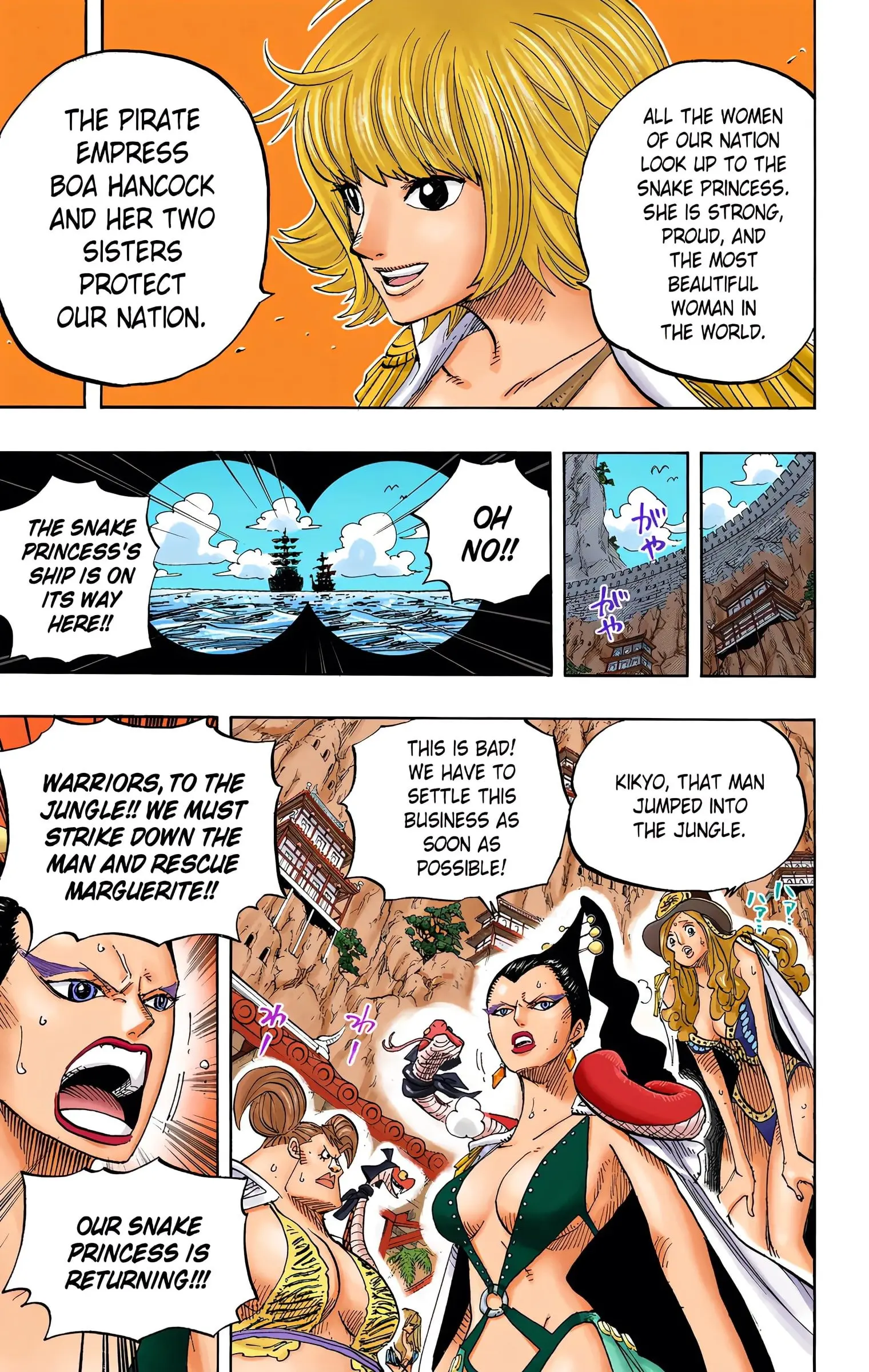 One Piece Colored, chapter 515, page 18