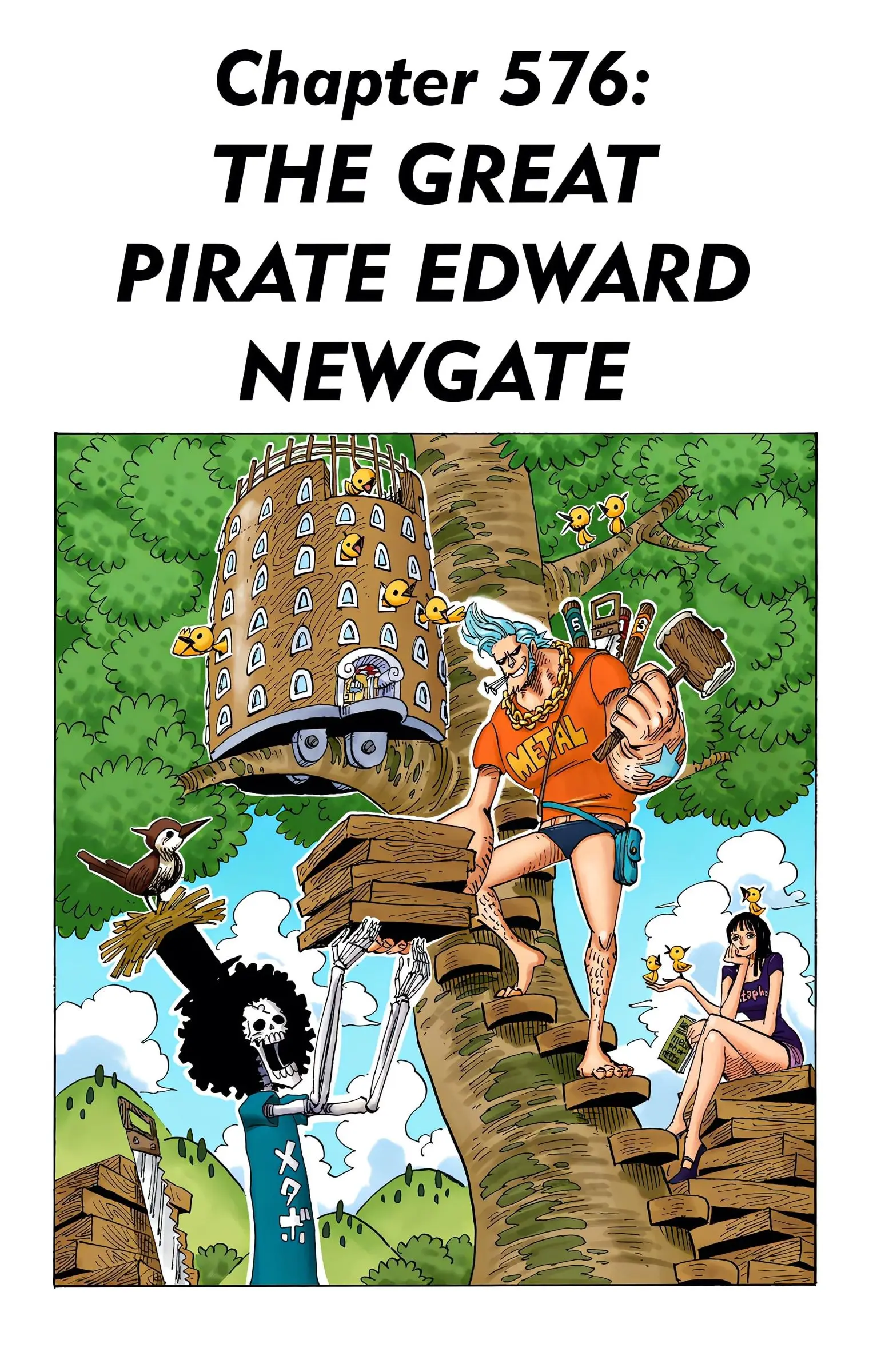 One Piece Colored, chapter 576, page 1