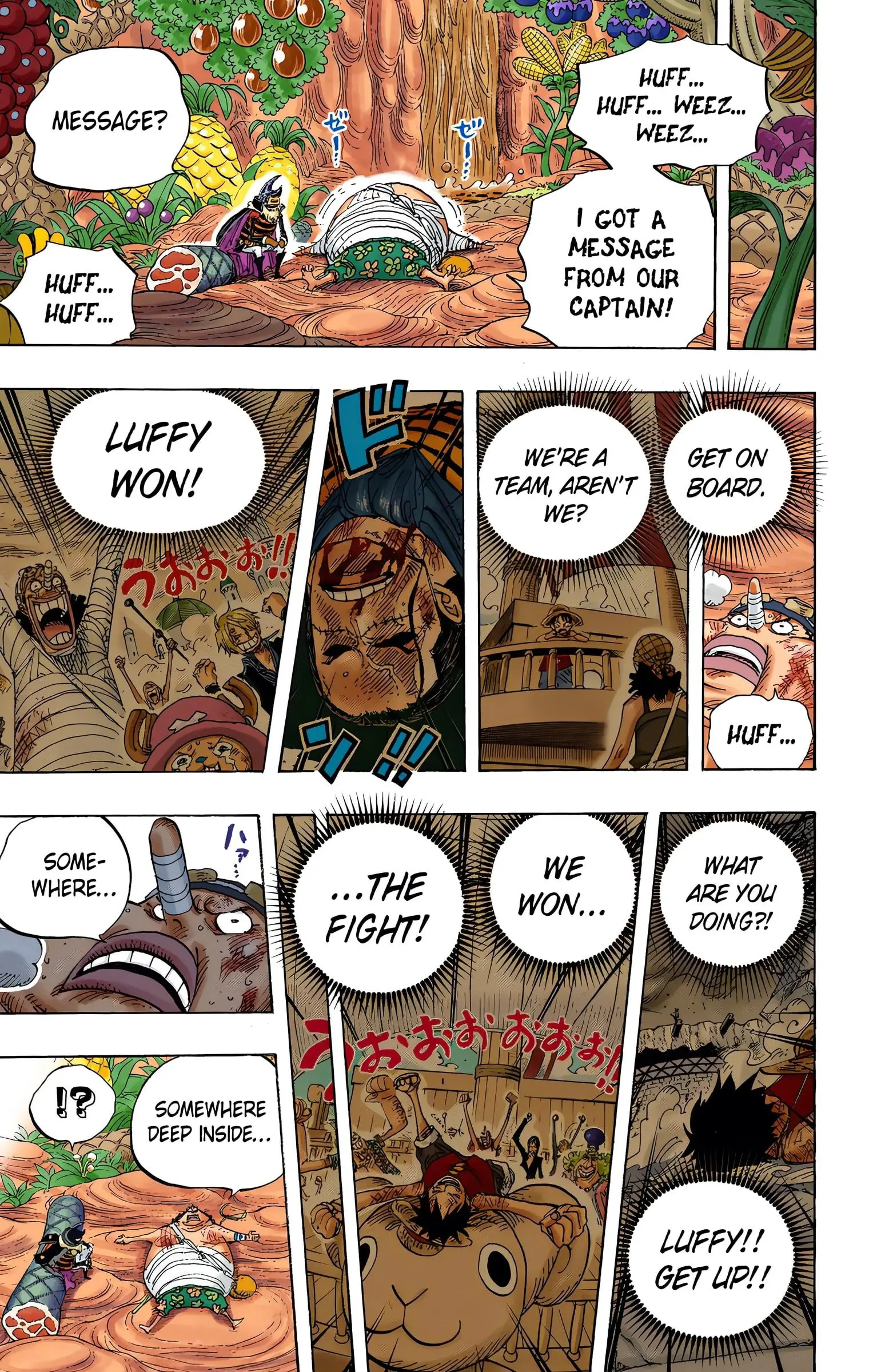 One Piece Colored, chapter 596, page 17