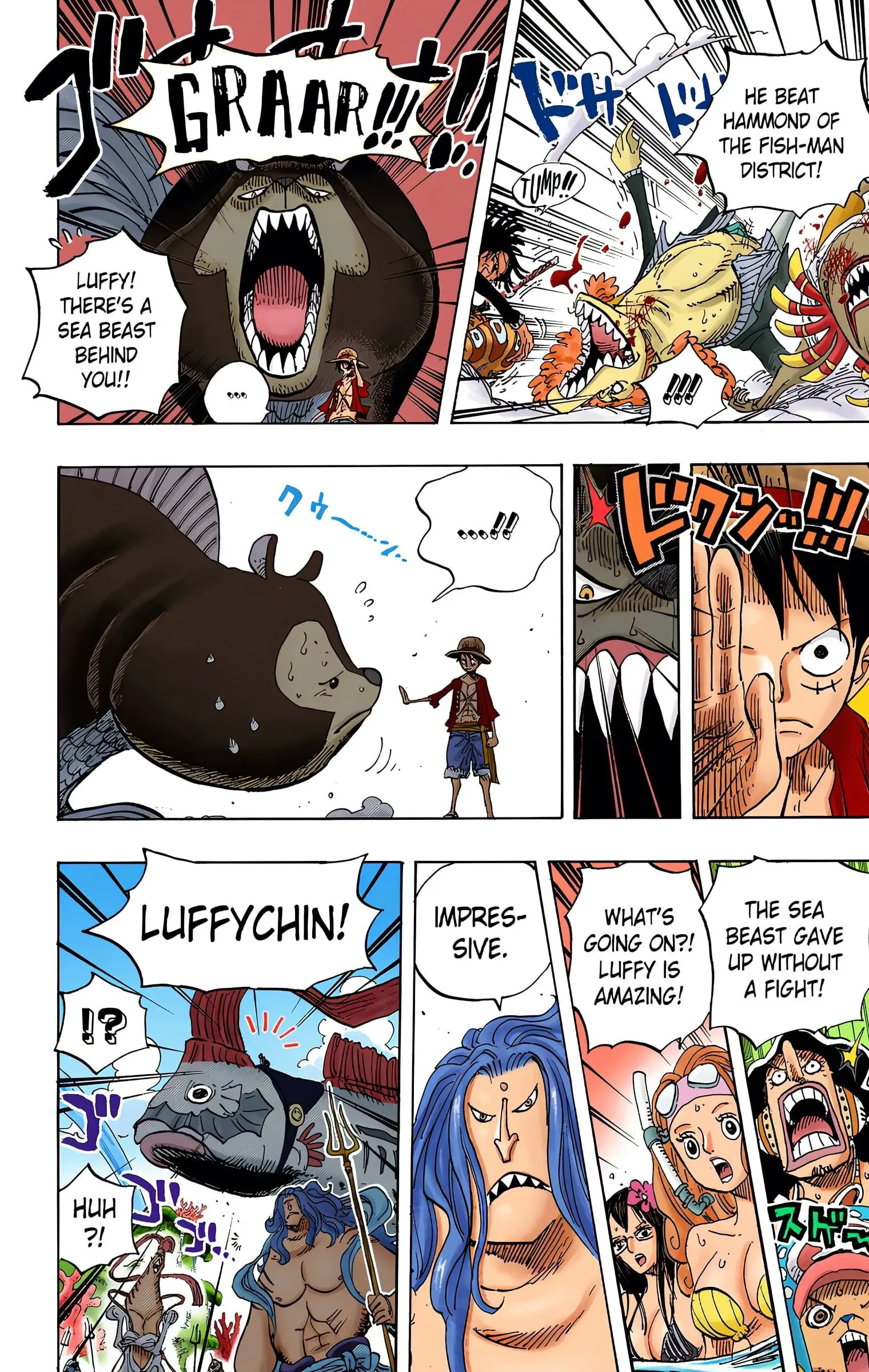 One Piece Colored, chapter 609, page 13