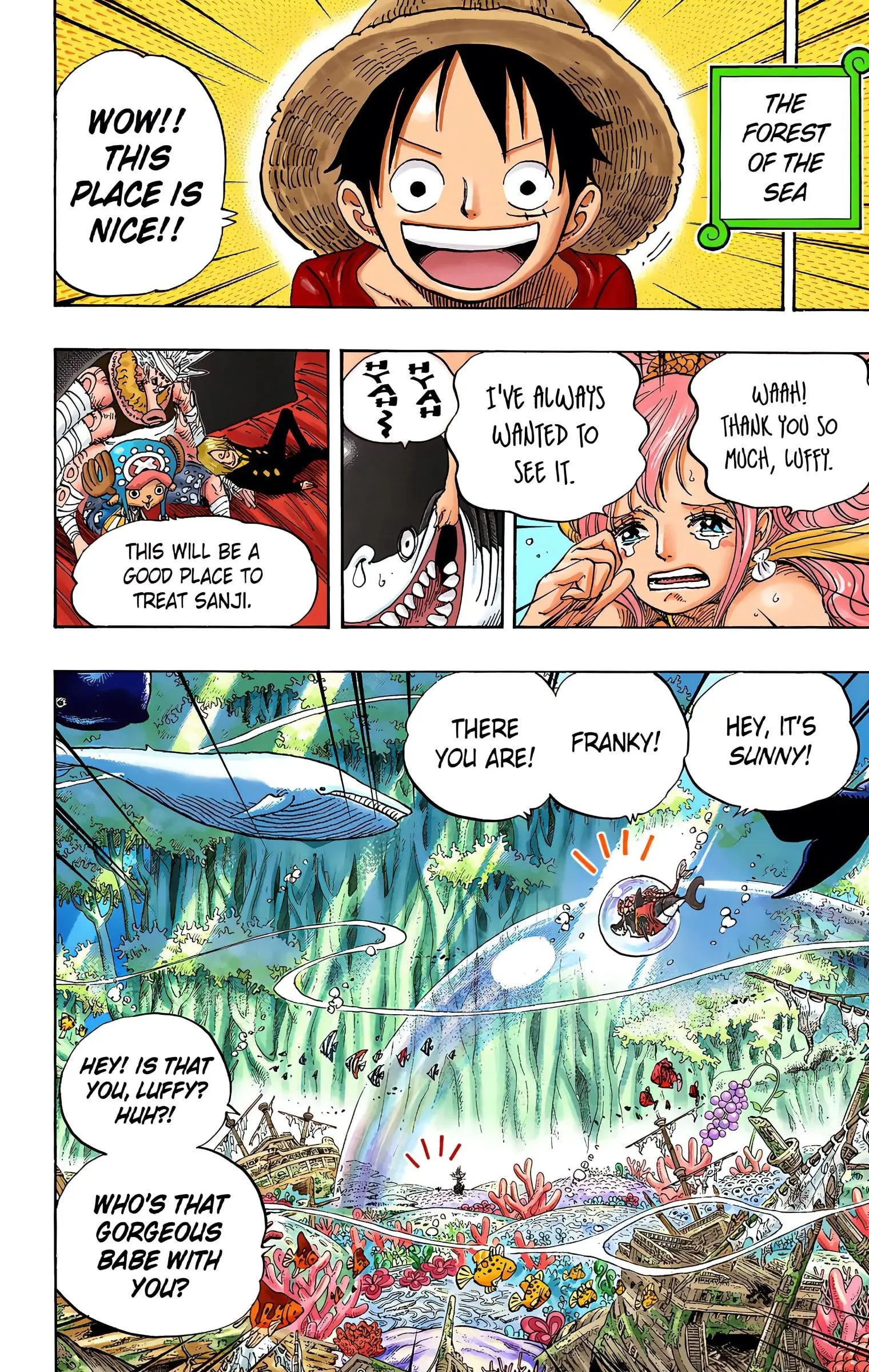 One Piece Colored, chapter 619, page 8
