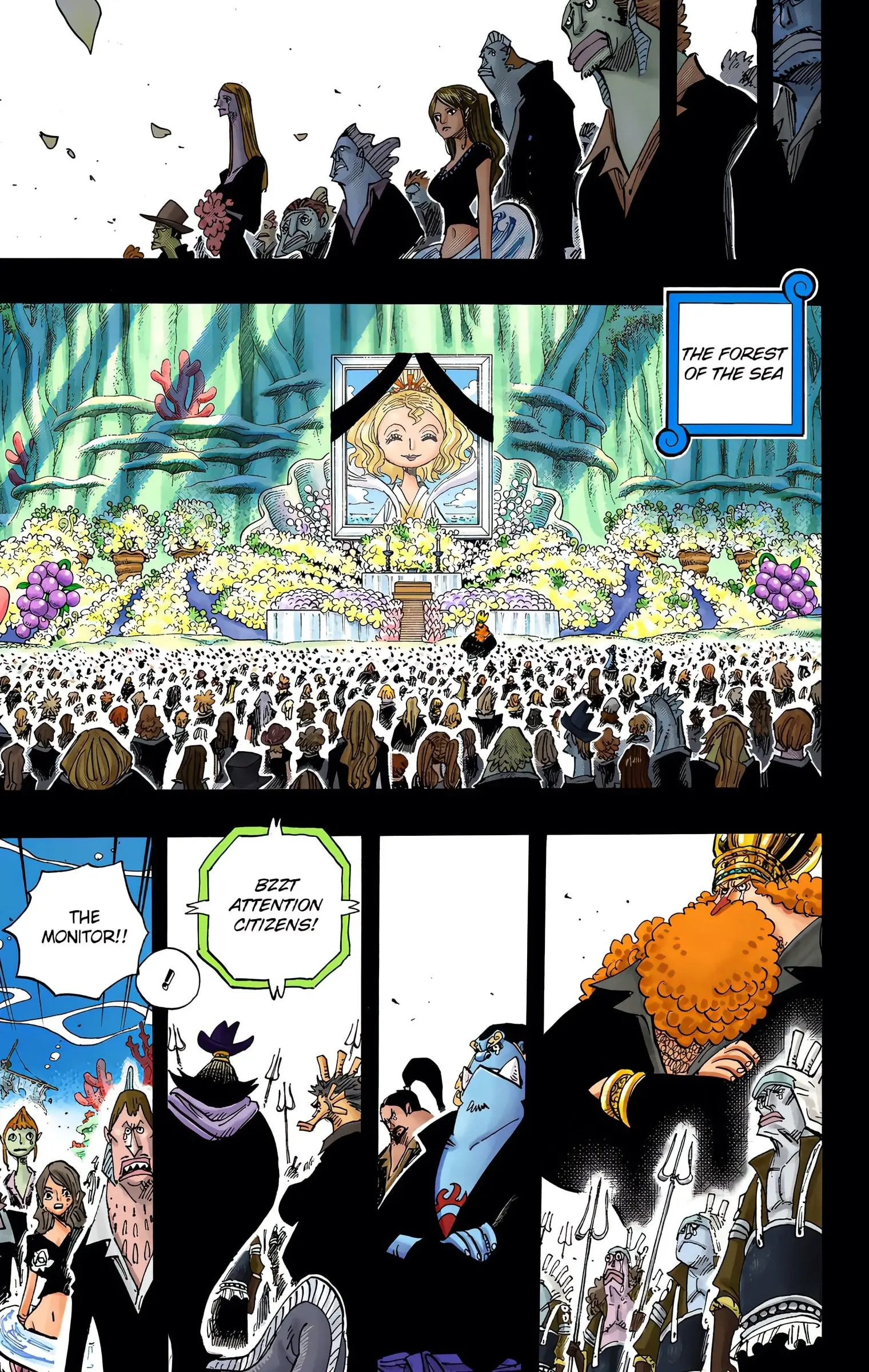 One Piece Colored, chapter 627, page 14