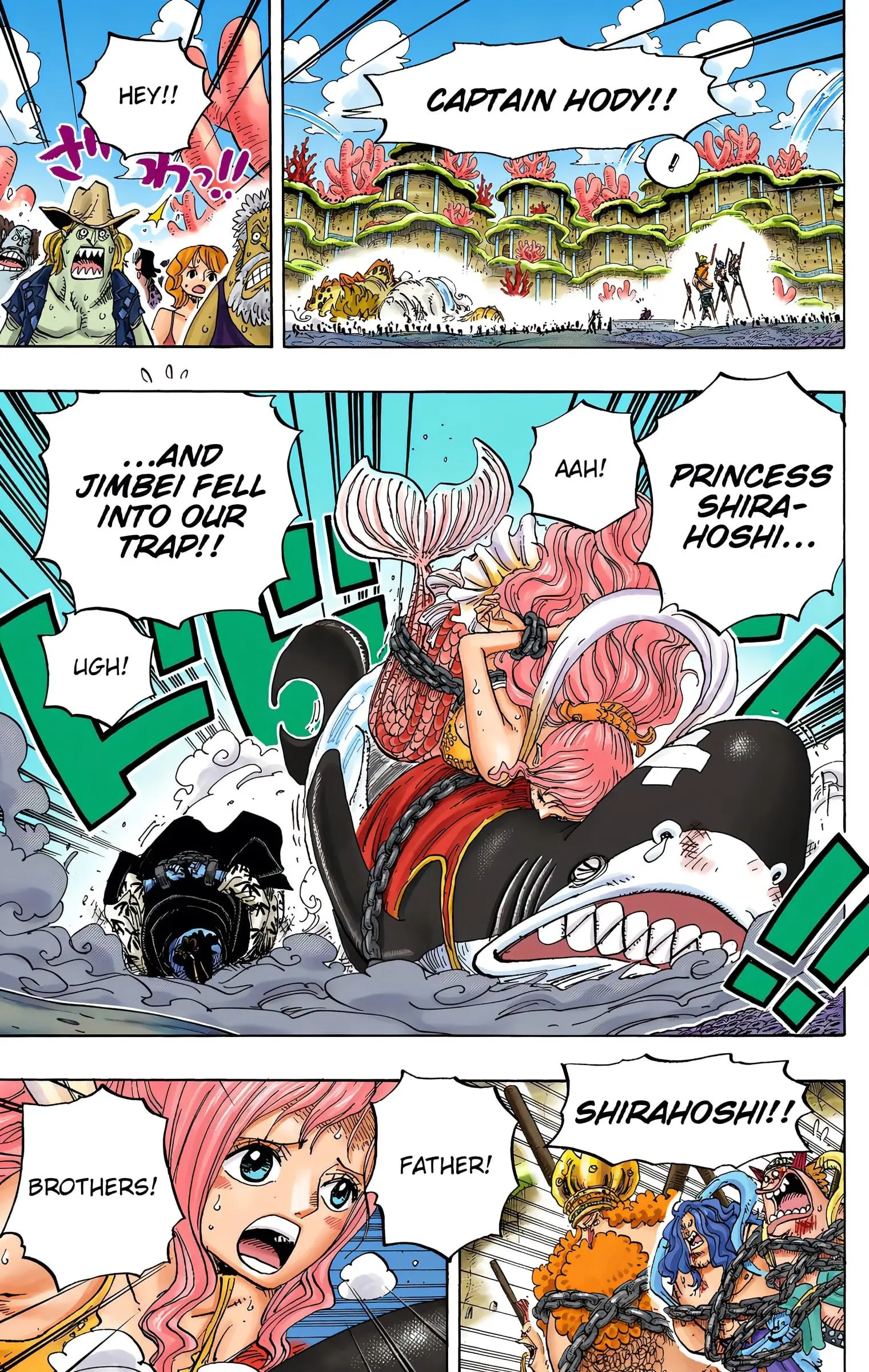 One Piece Colored, chapter 632, page 6
