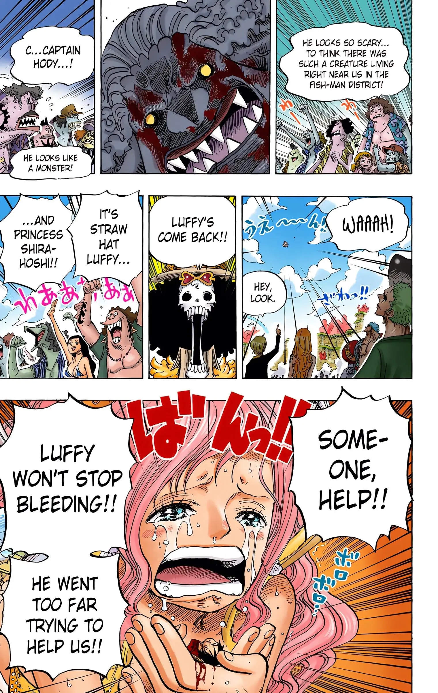 One Piece Colored, chapter 648, page 12