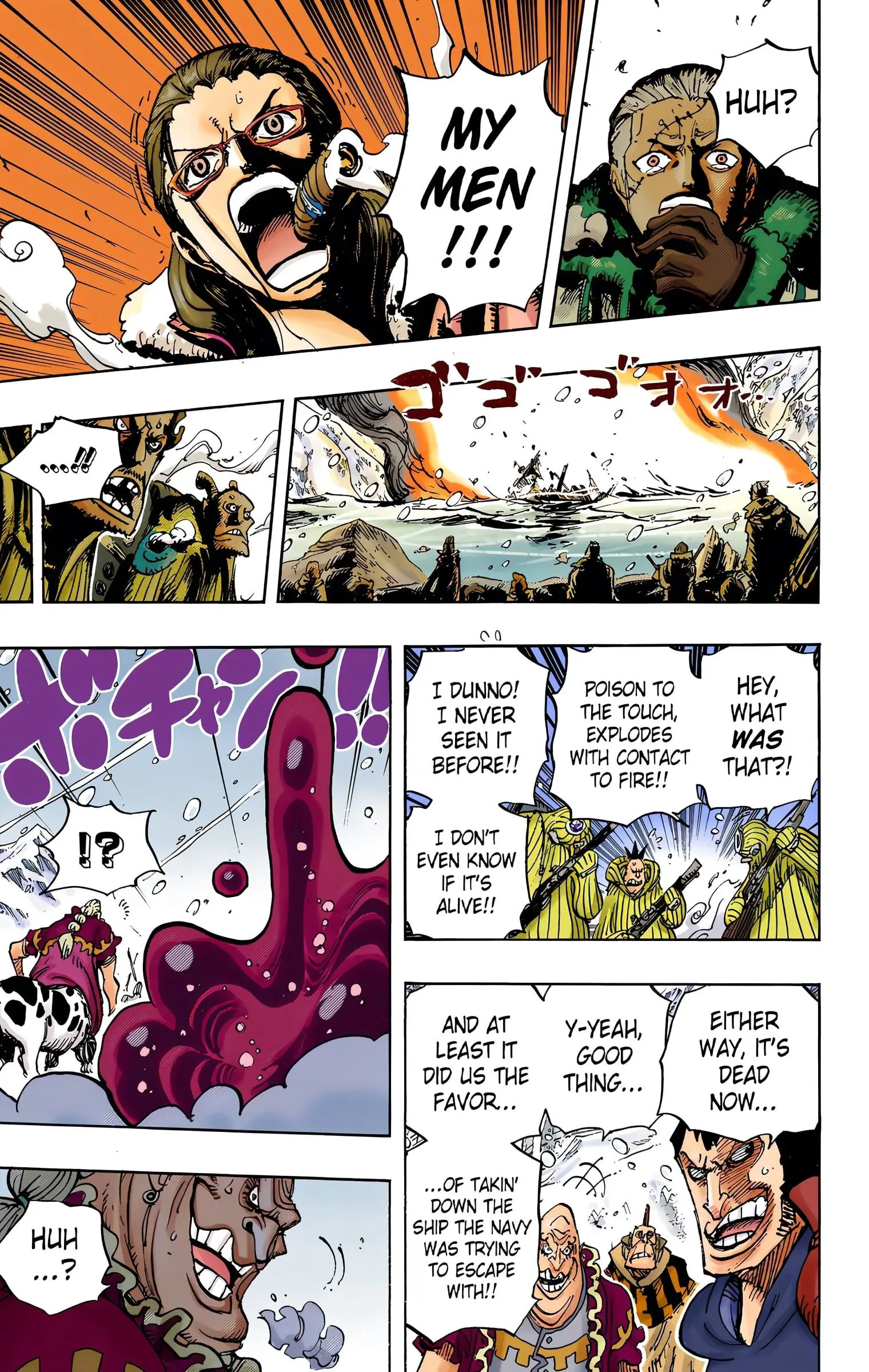 One Piece Colored, chapter 670, page 13