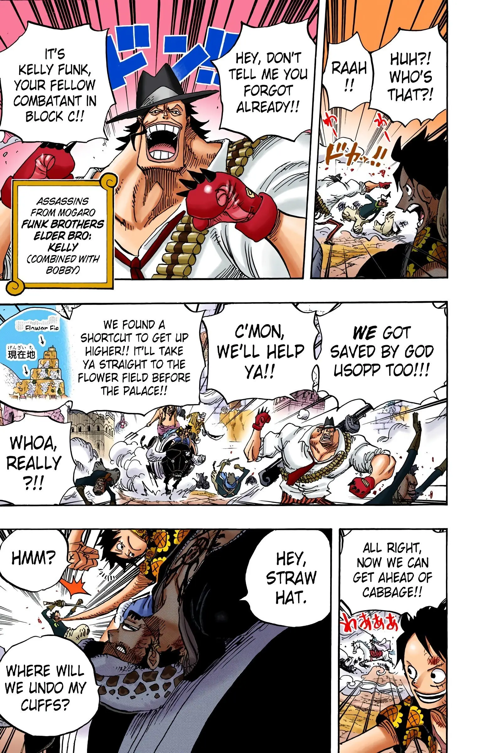 One Piece Colored, chapter 751, page 11