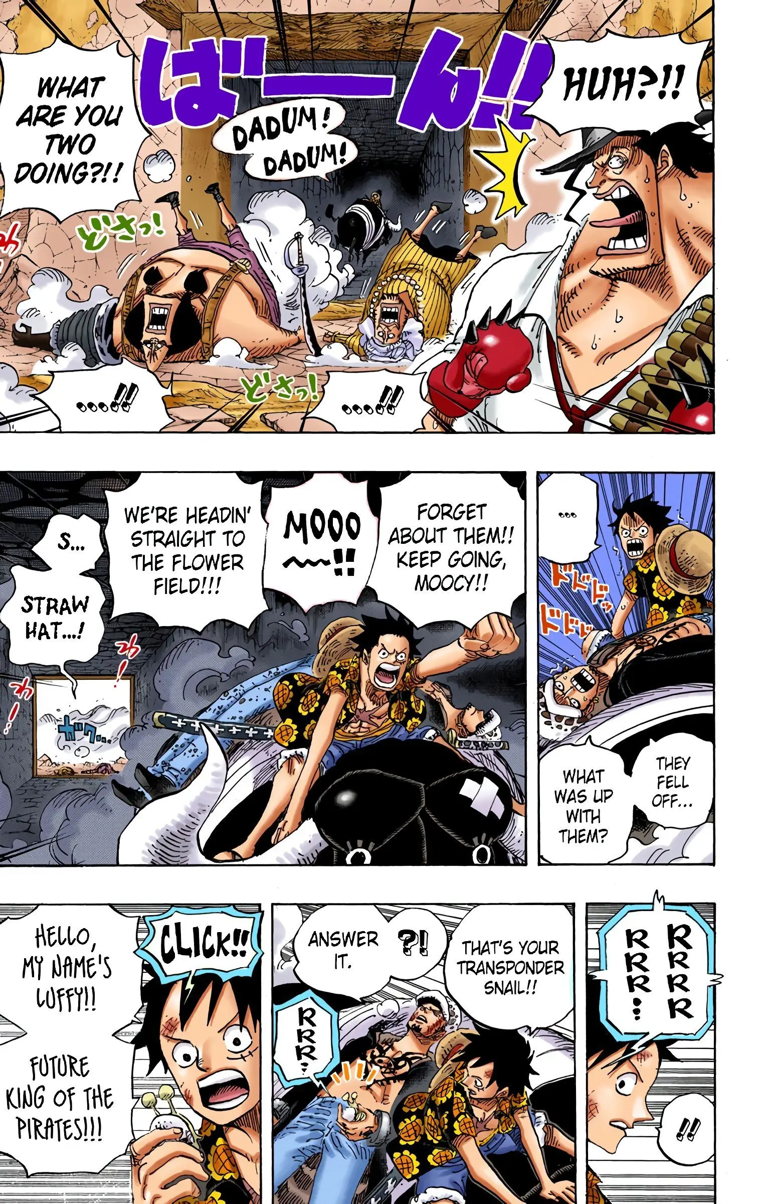 One Piece Colored, chapter 751, page 13