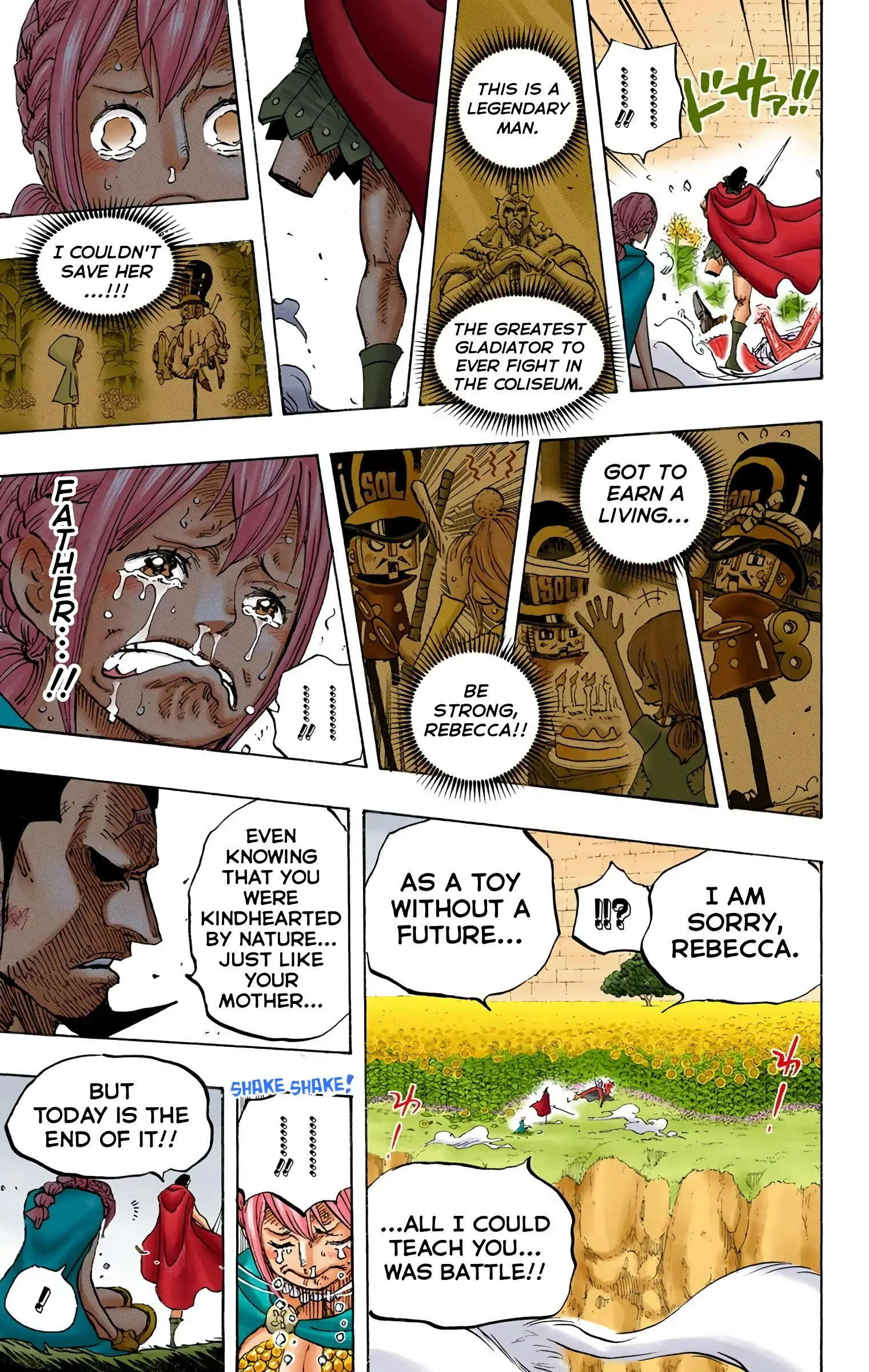 One Piece Colored, chapter 757, page 14
