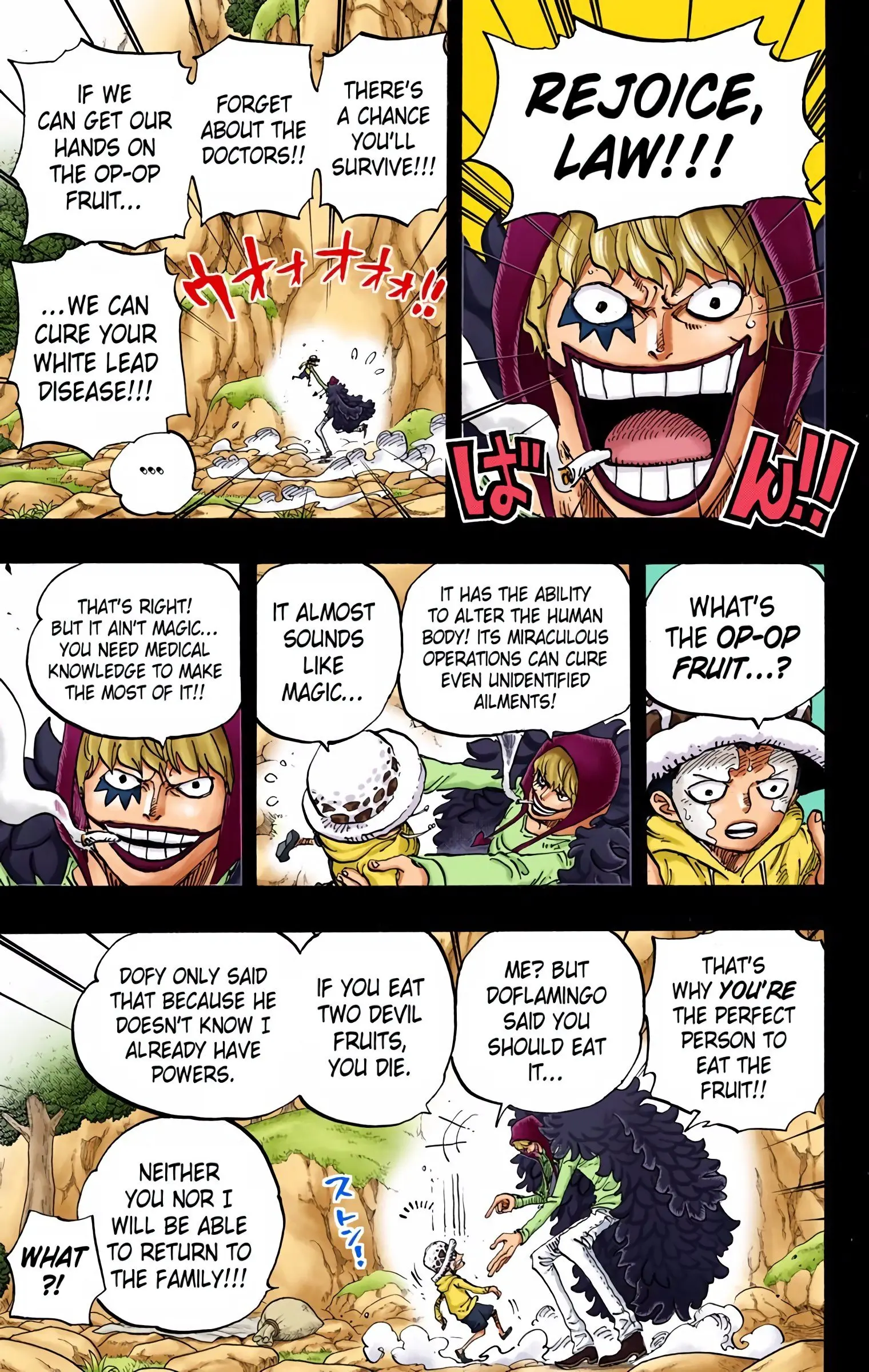 One Piece Colored, chapter 765, page 5