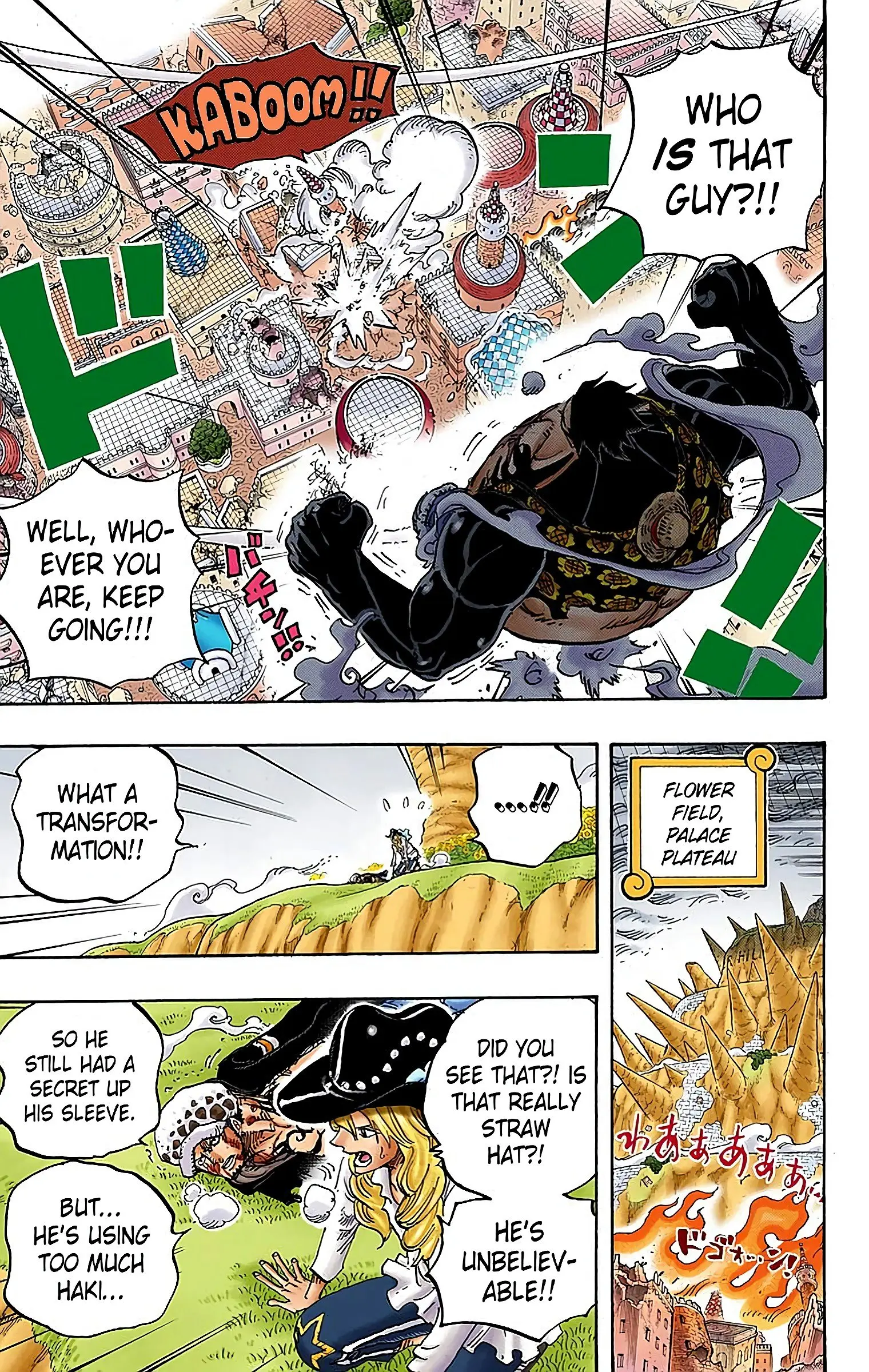 One Piece Colored, chapter 785, page 3