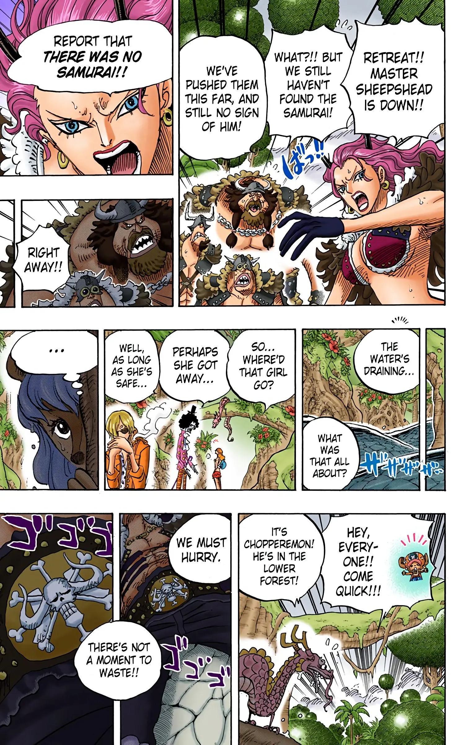 One Piece Colored, chapter 795, page 9