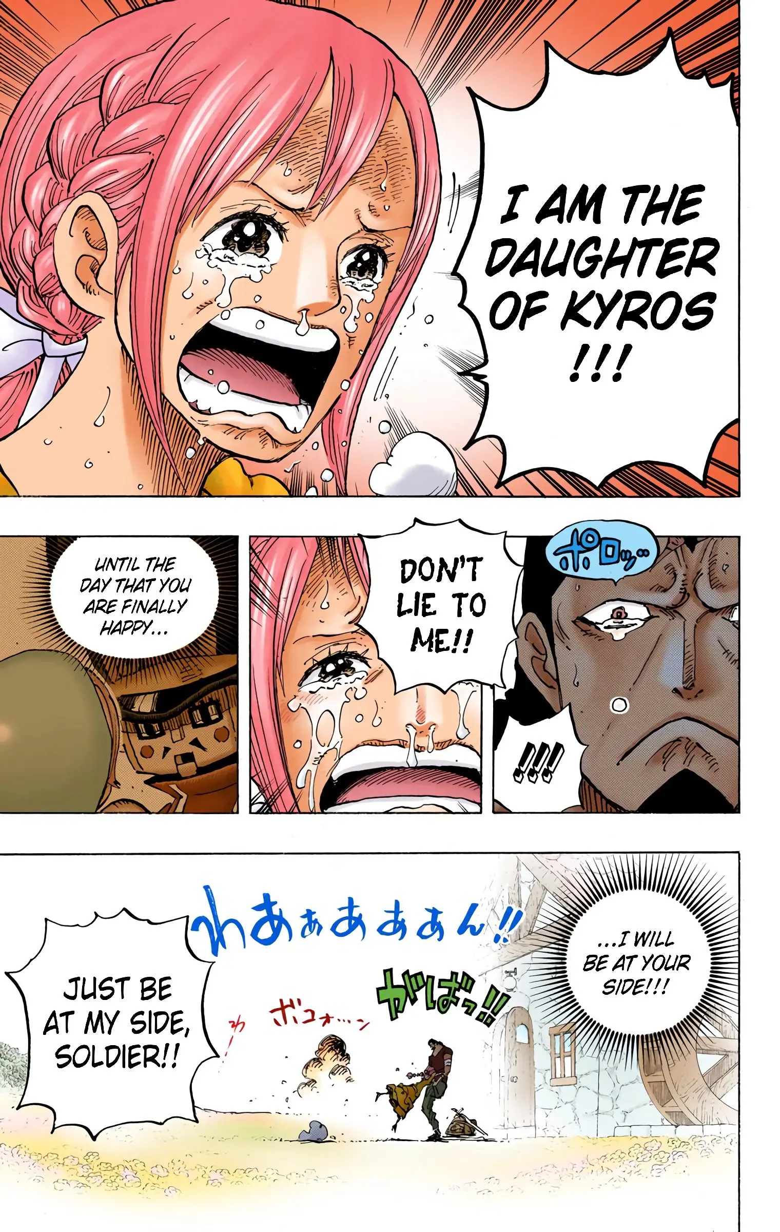 One Piece Colored, chapter 797, page 15