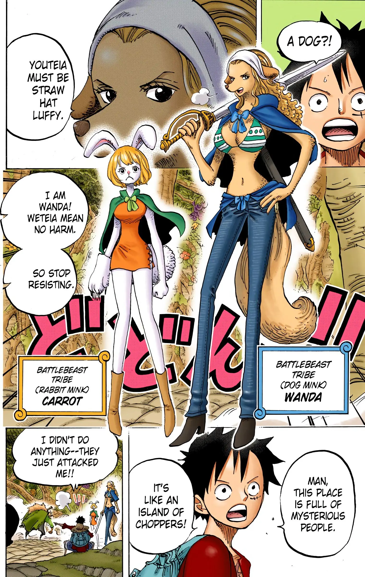 One Piece Colored, chapter 805, page 11
