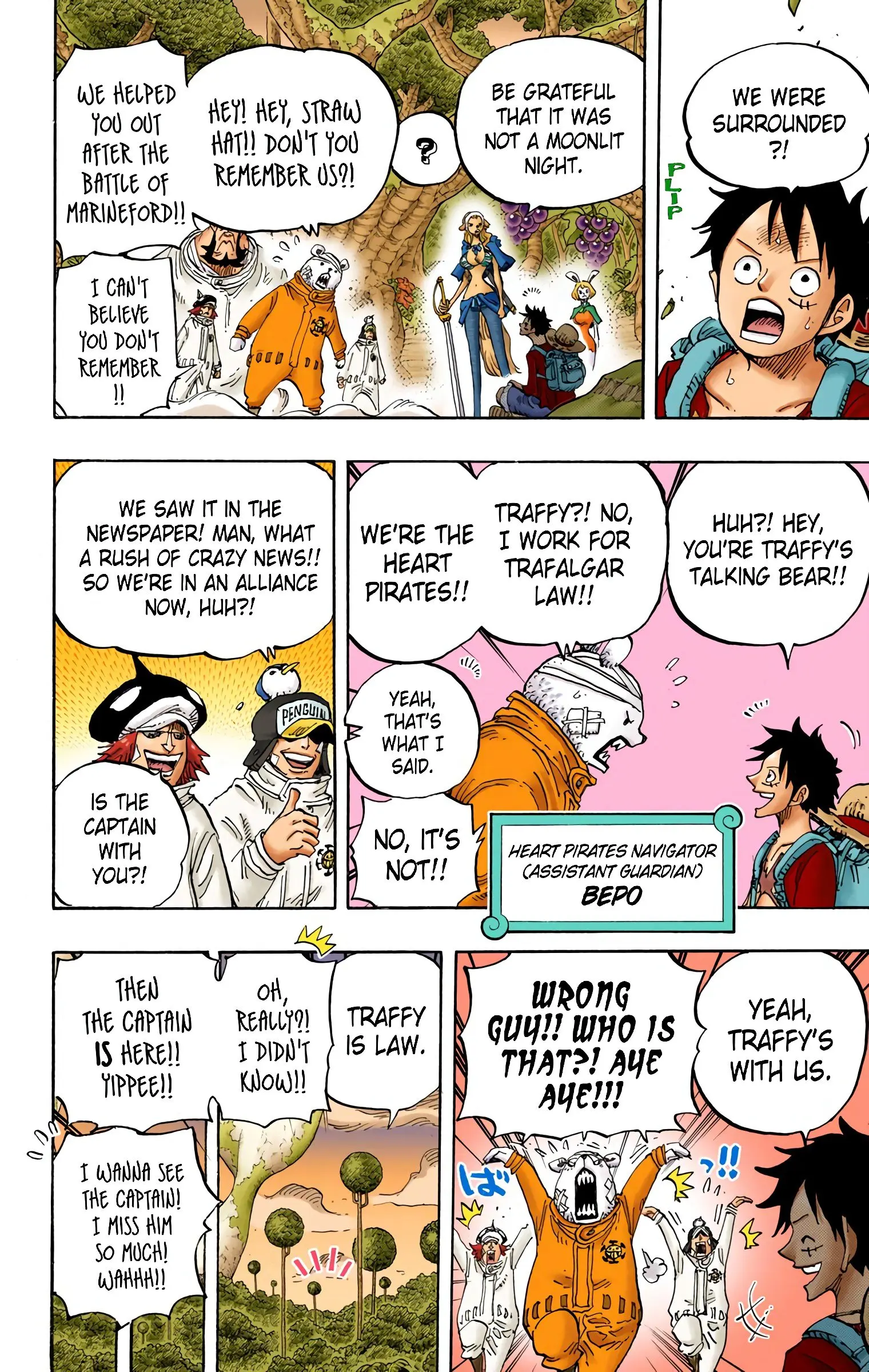 One Piece Colored, chapter 805, page 13