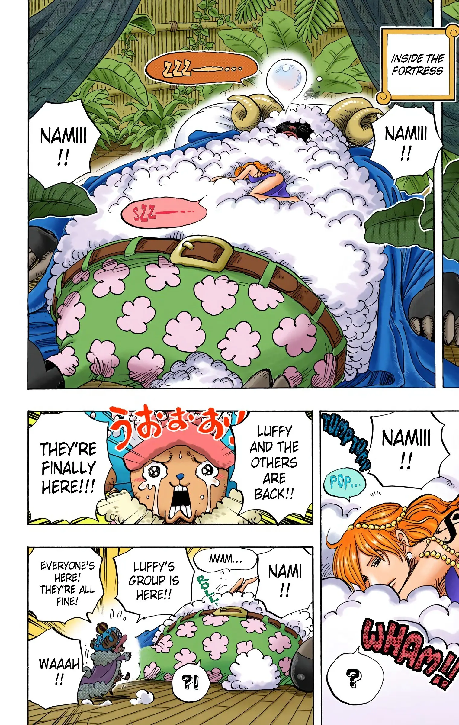 One Piece Colored, chapter 806, page 12