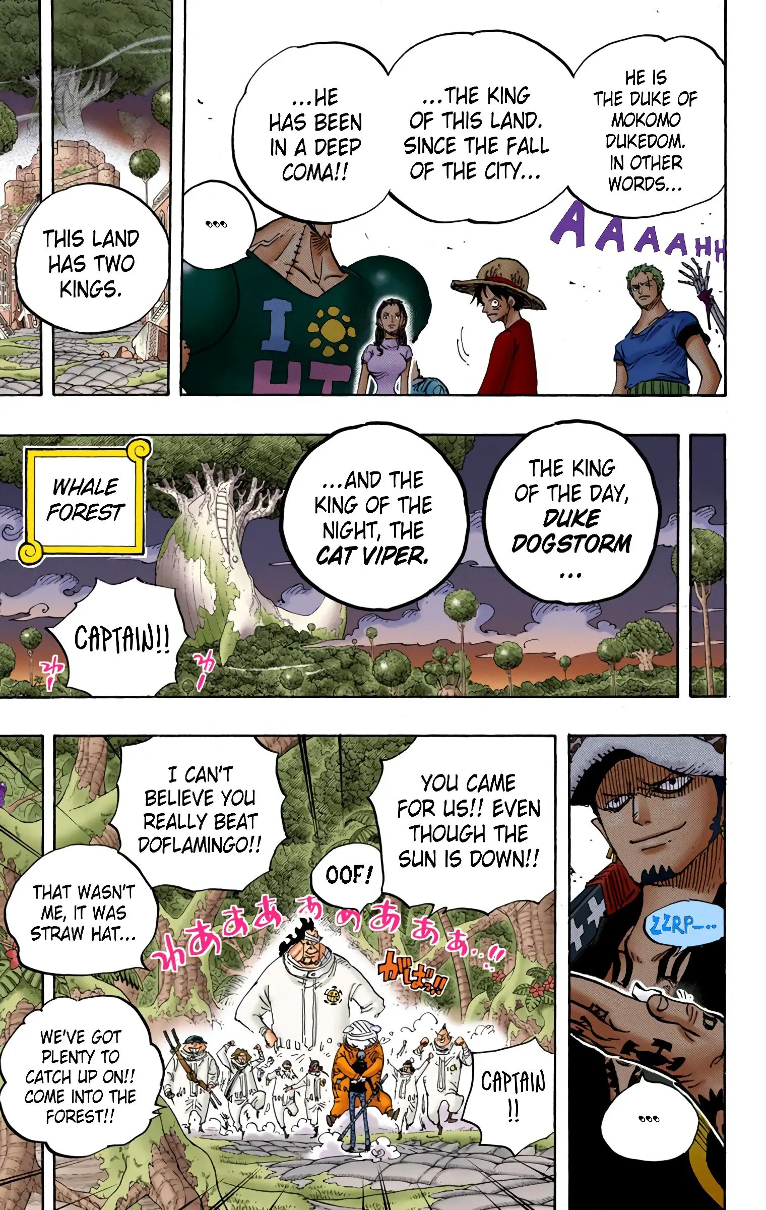 One Piece Colored, chapter 807, page 20