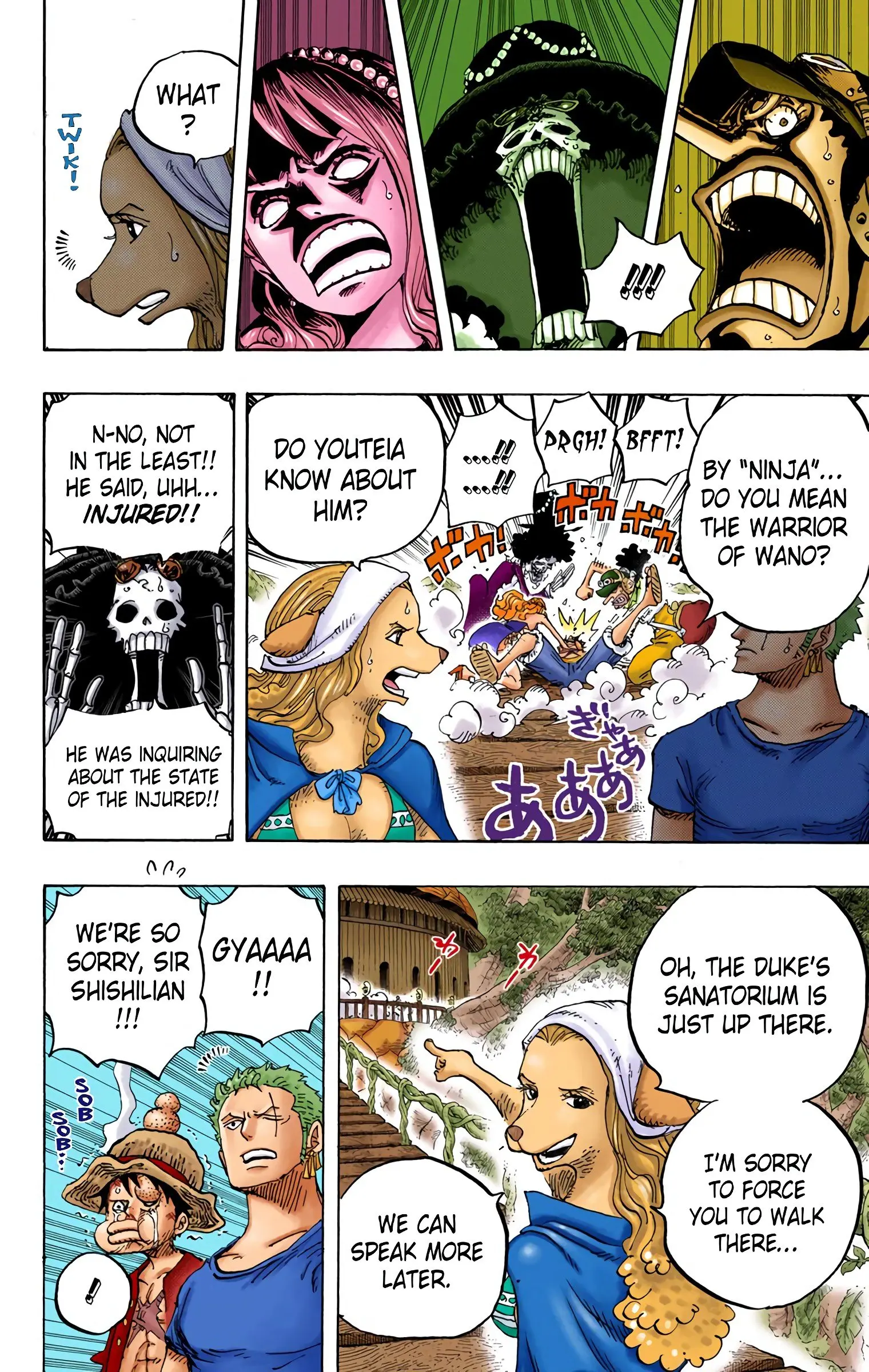 One Piece Colored, chapter 808, page 11