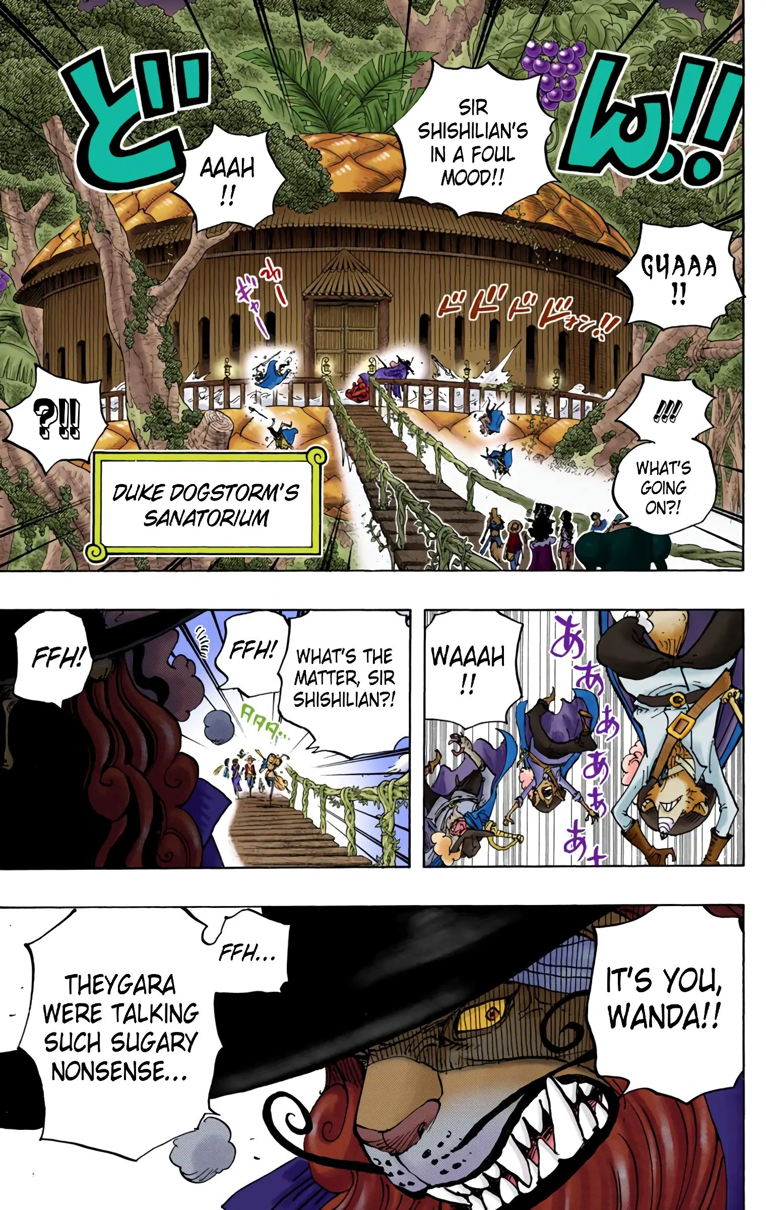 One Piece Colored, chapter 808, page 12