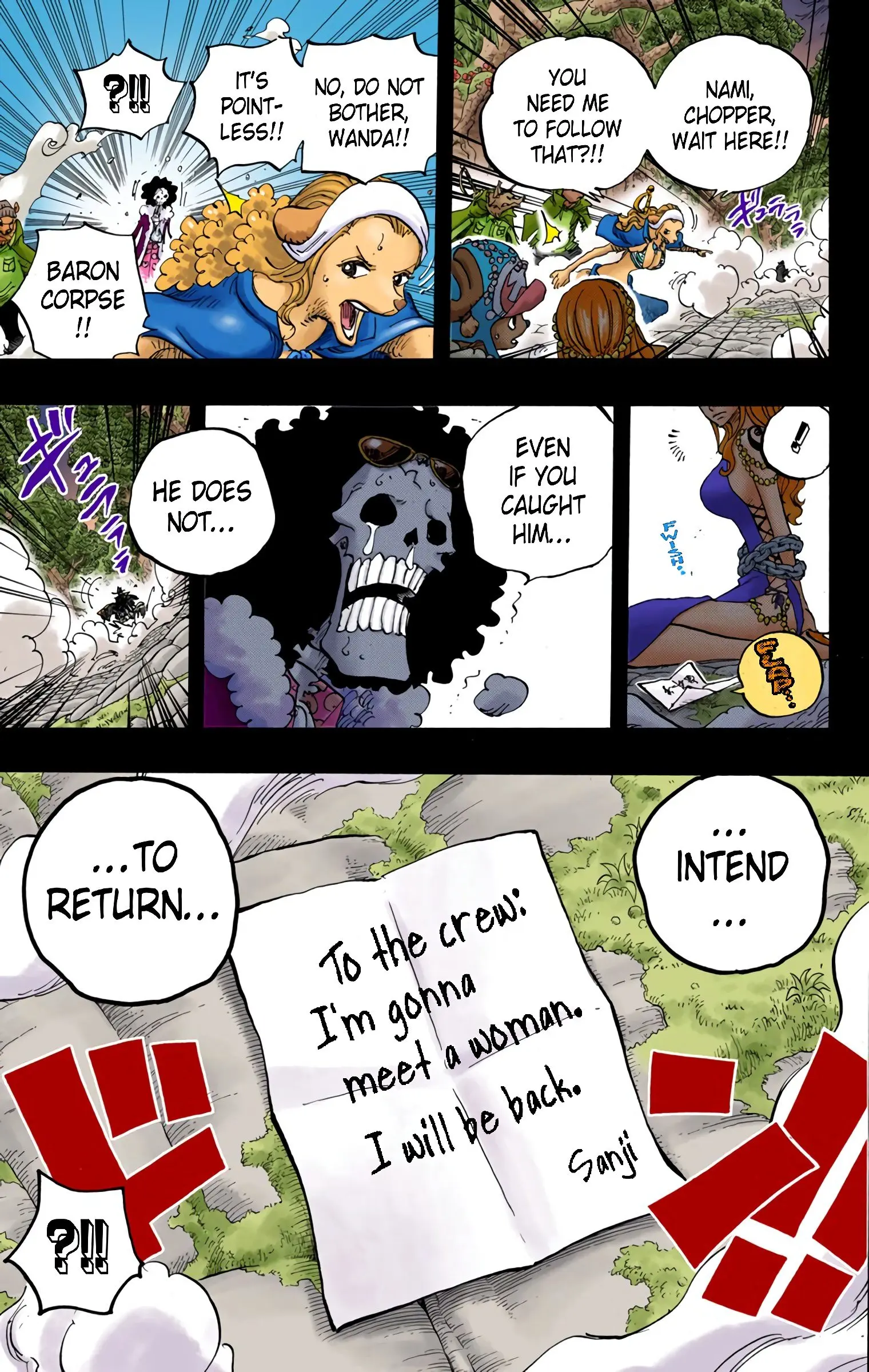 One Piece Colored, chapter 813, page 17