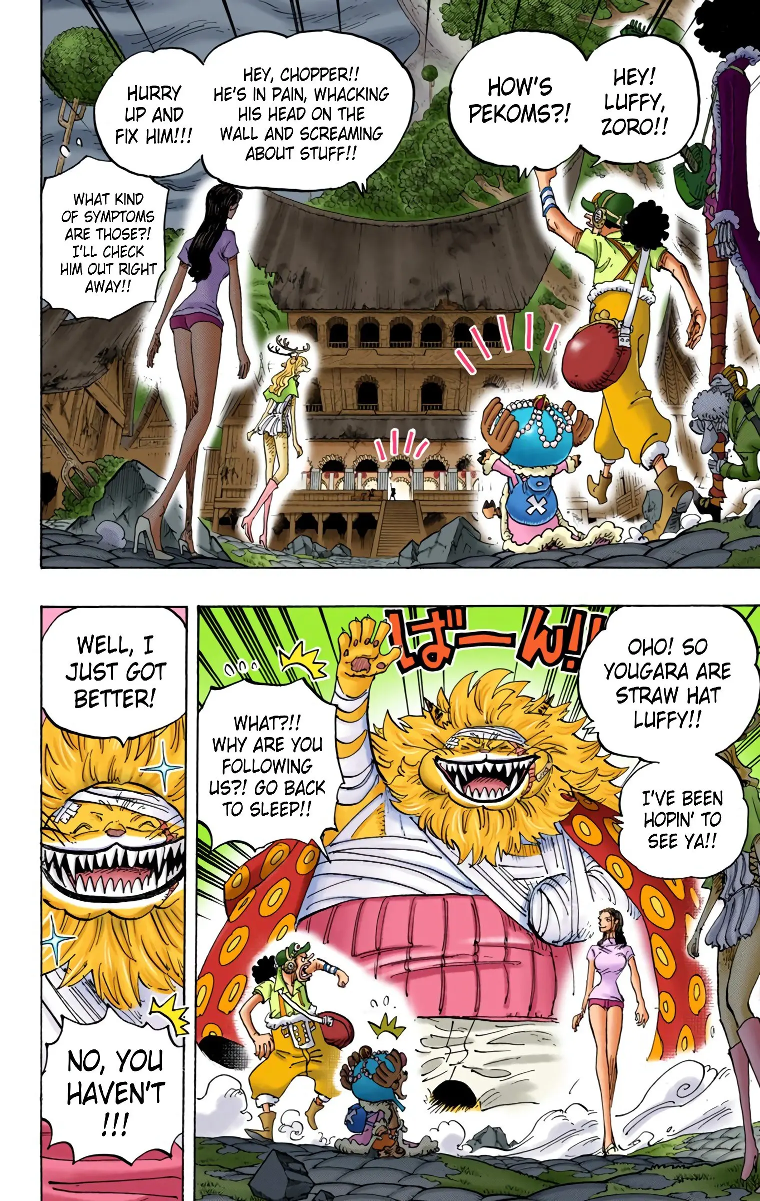 One Piece Colored, chapter 815, page 10