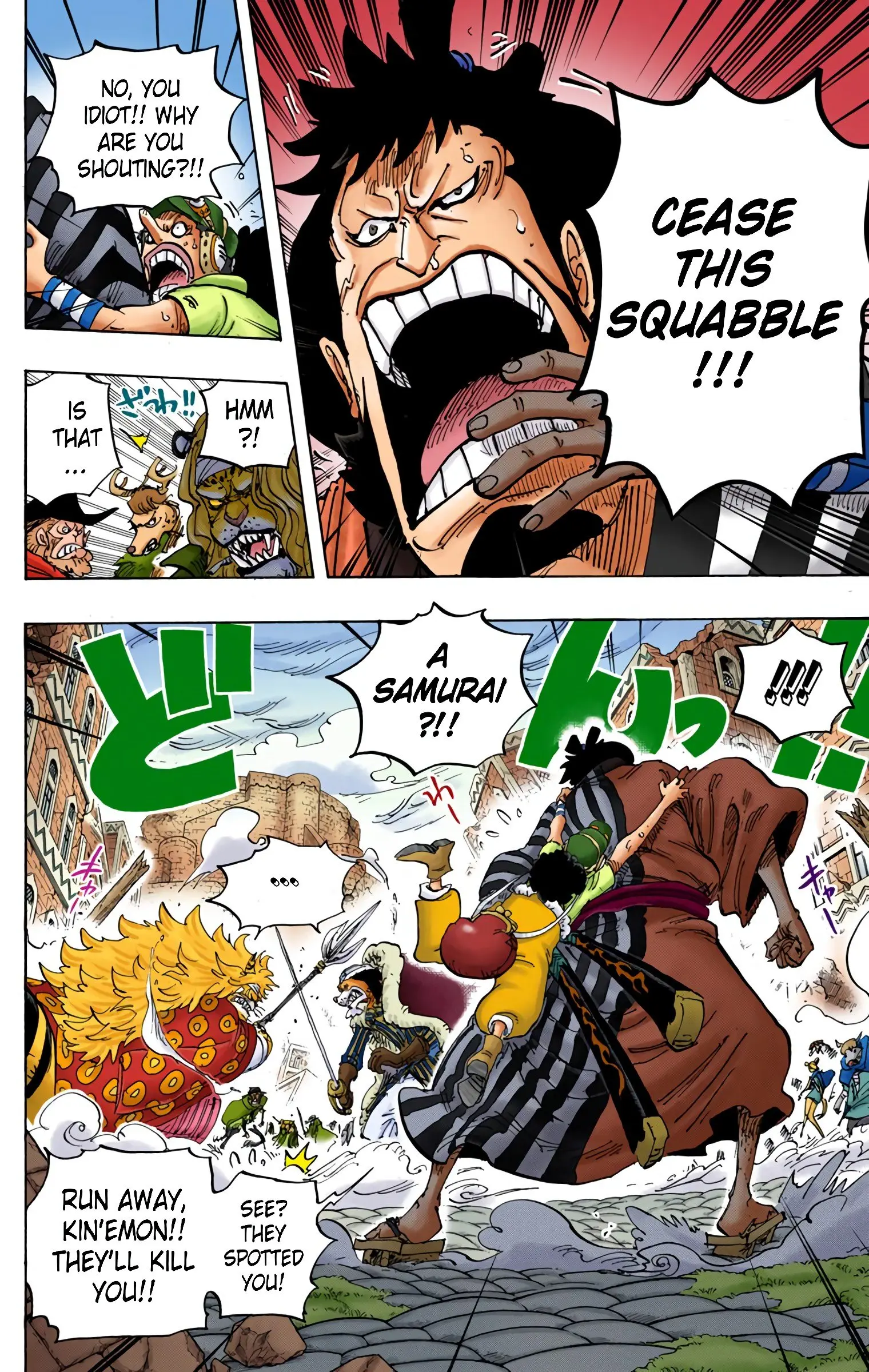 One Piece Colored, chapter 816, page 12