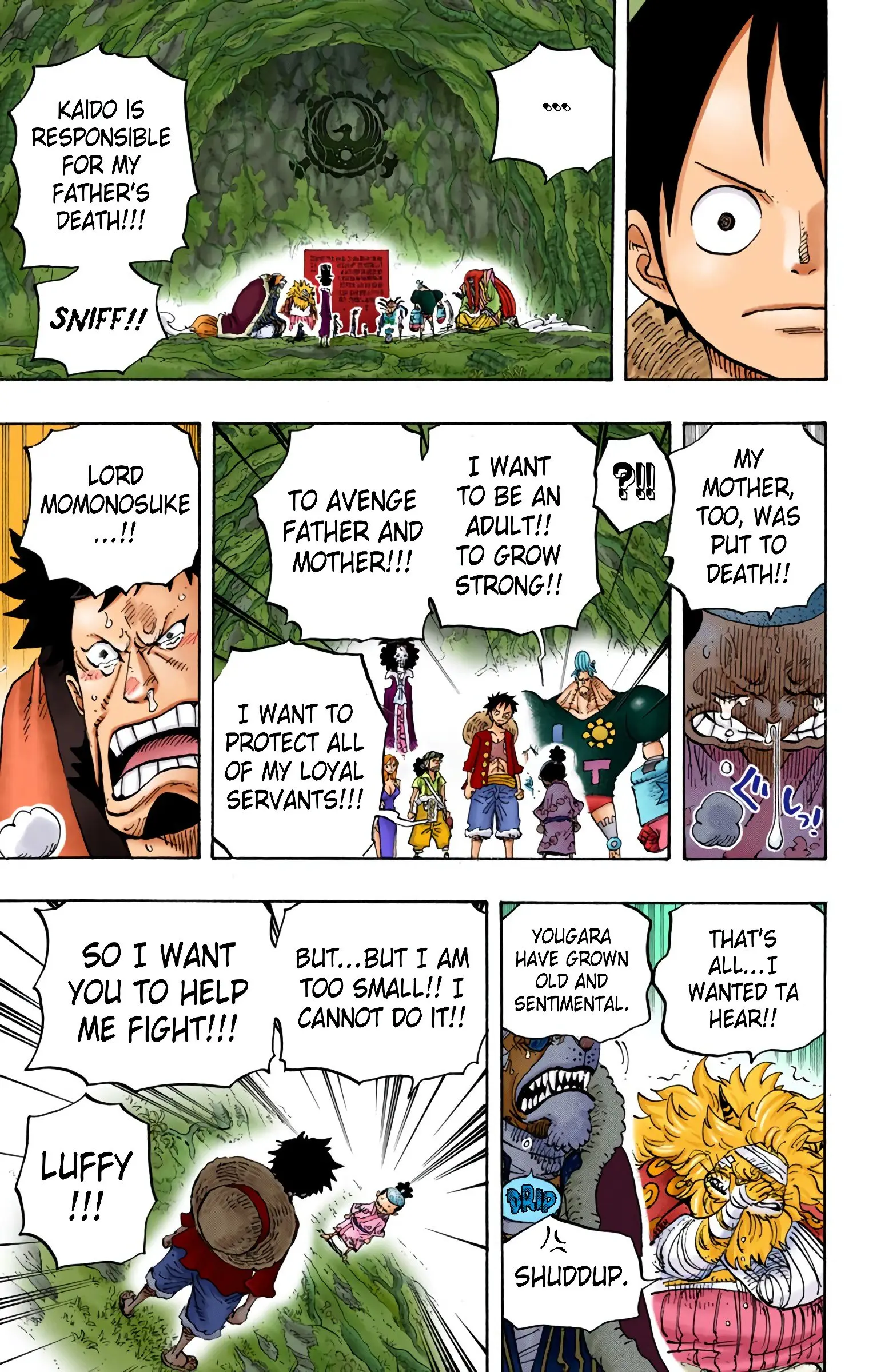 One Piece Colored, chapter 819, page 11