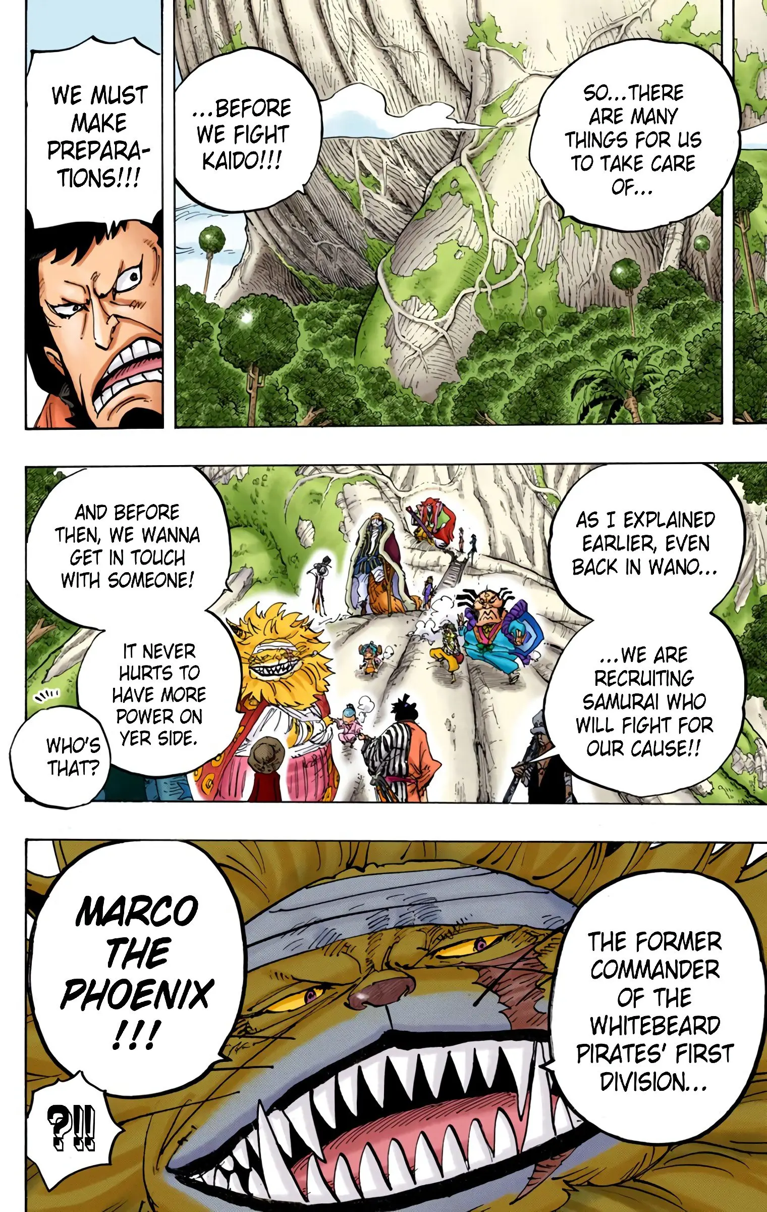 One Piece Colored, chapter 820, page 10