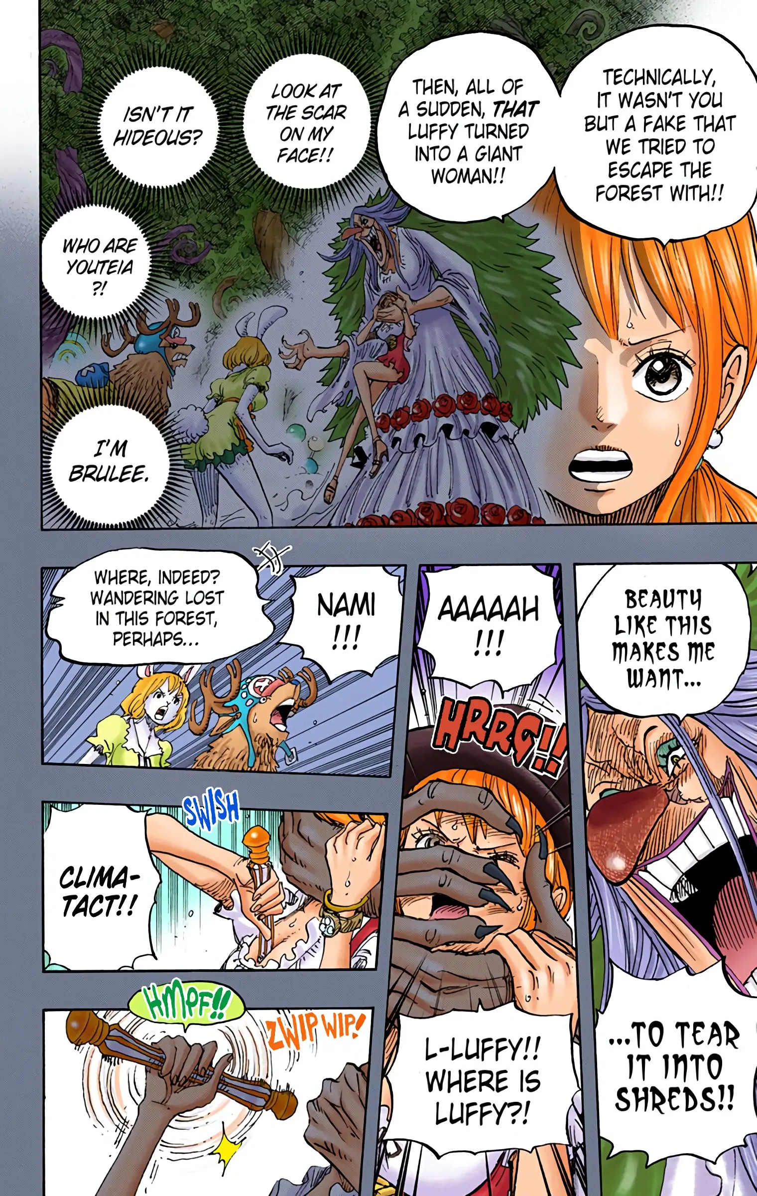 One Piece Colored, chapter 835, page 5