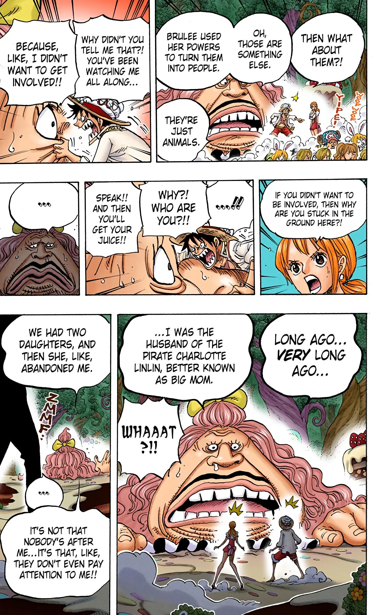 One Piece Colored, chapter 835, page 16