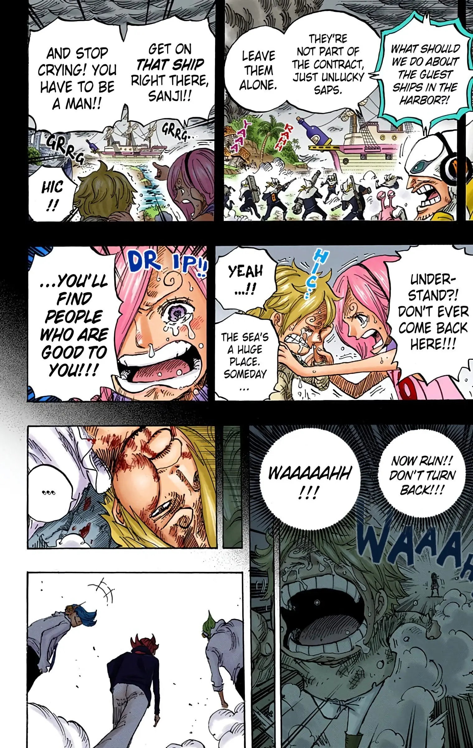 One Piece Colored, chapter 841, page 14