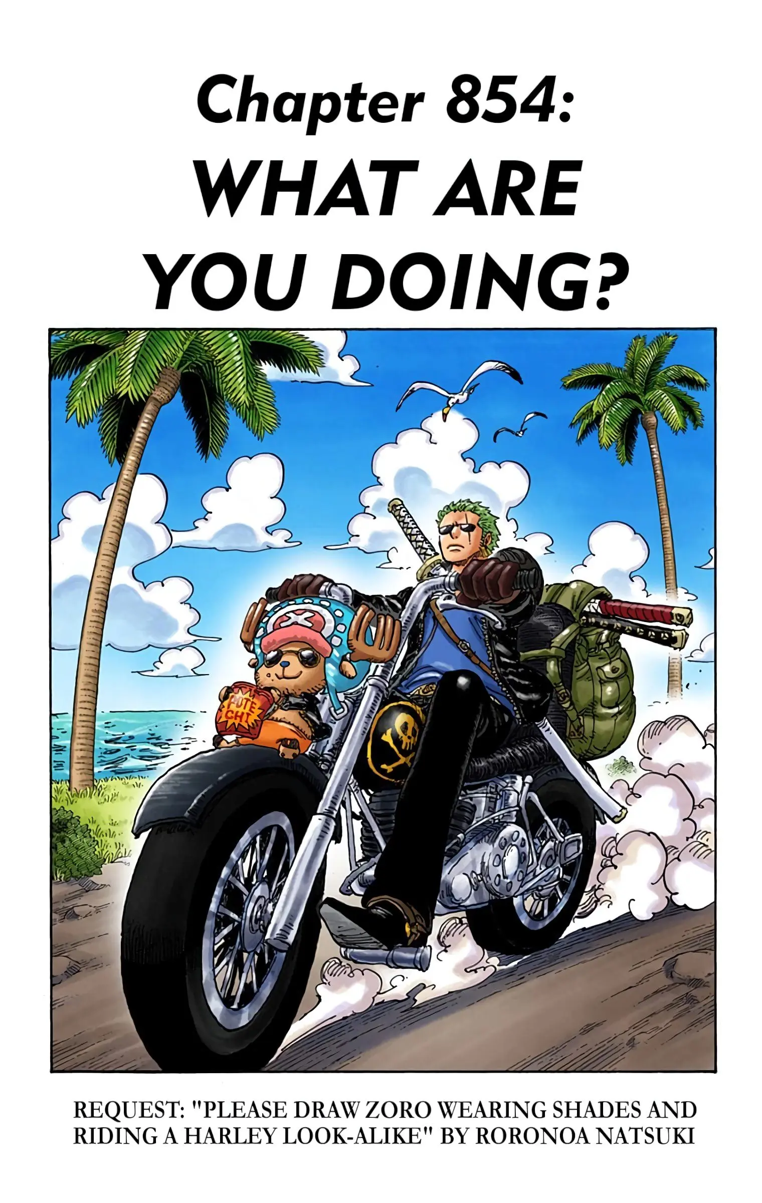 One Piece Colored, chapter 854, page 1