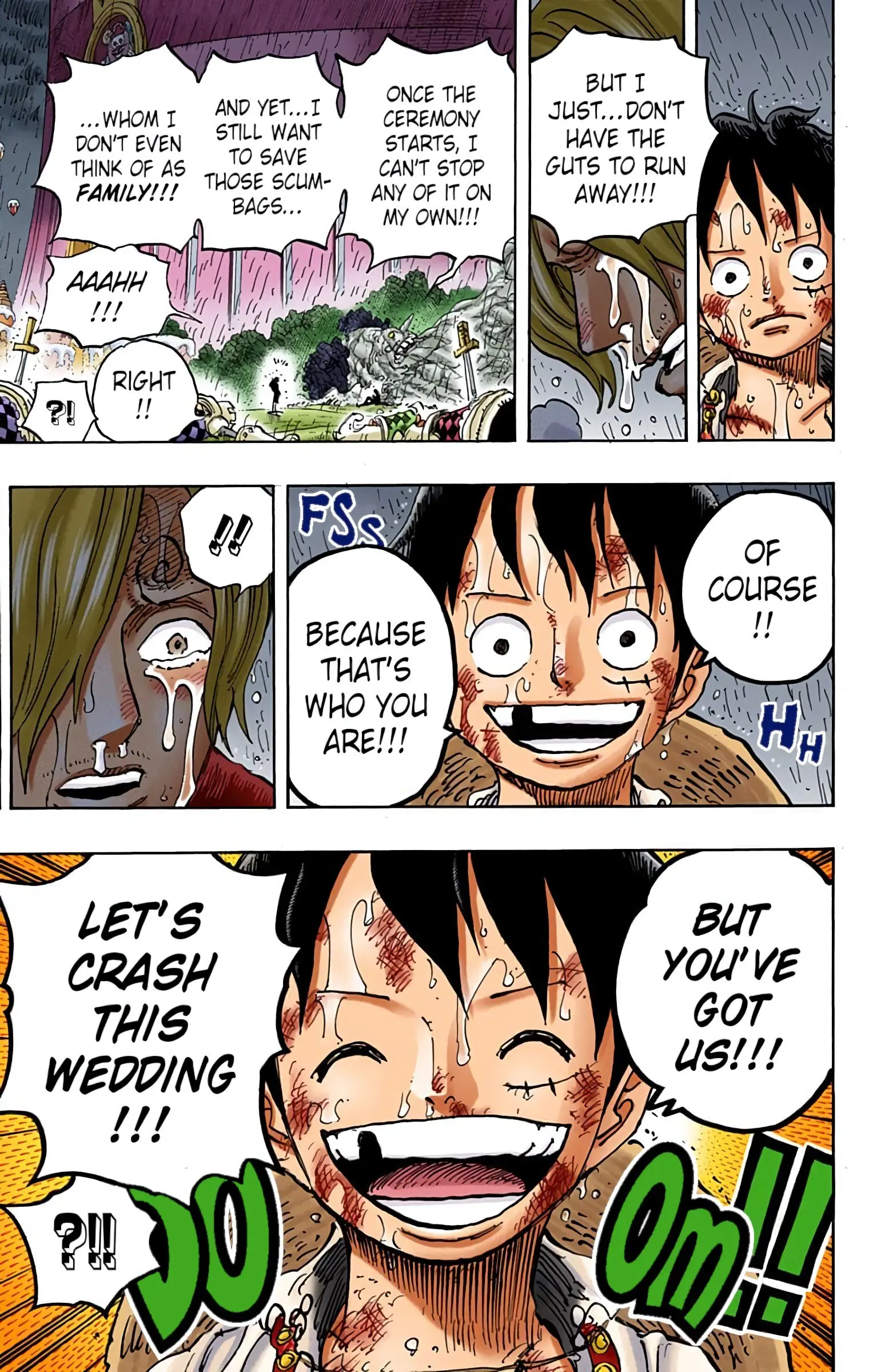 One Piece Colored, chapter 856, page 17