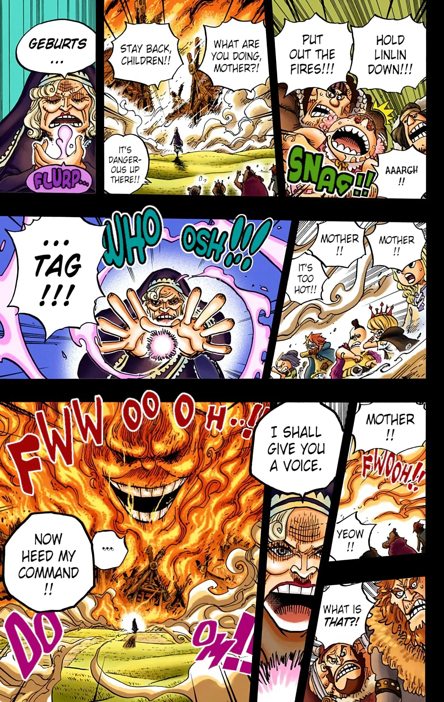 One Piece Colored, chapter 867, page 4
