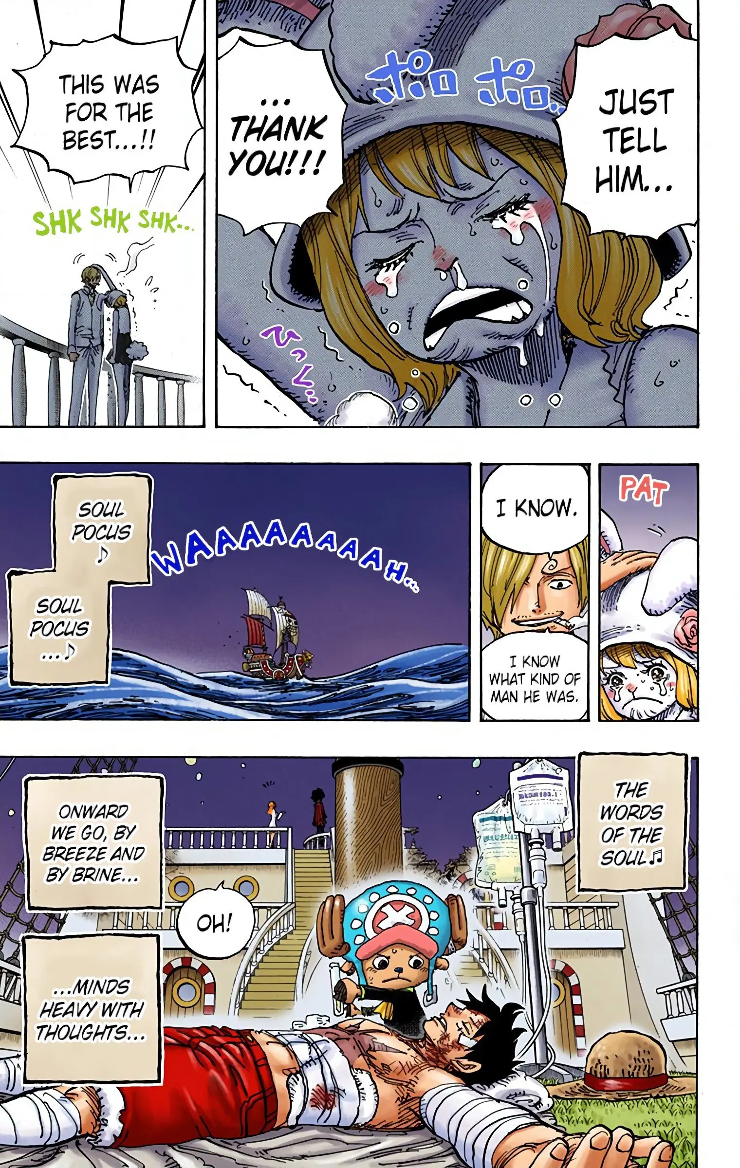 One Piece Colored, chapter 902, page 5