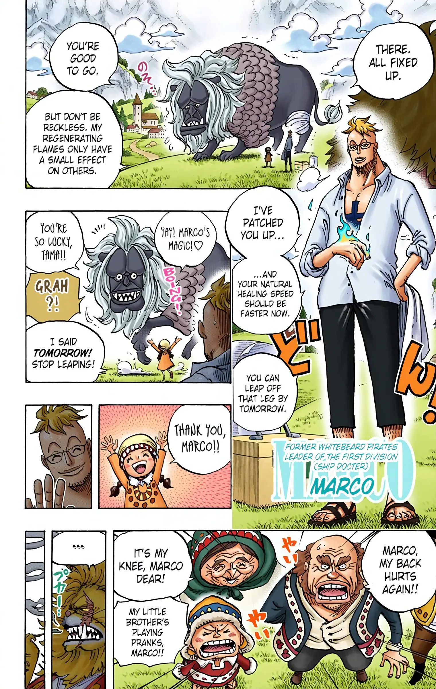 One Piece Colored, chapter 909, page 4