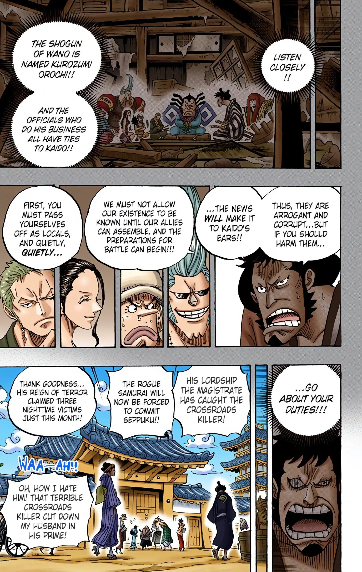 One Piece Colored, chapter 909, page 12