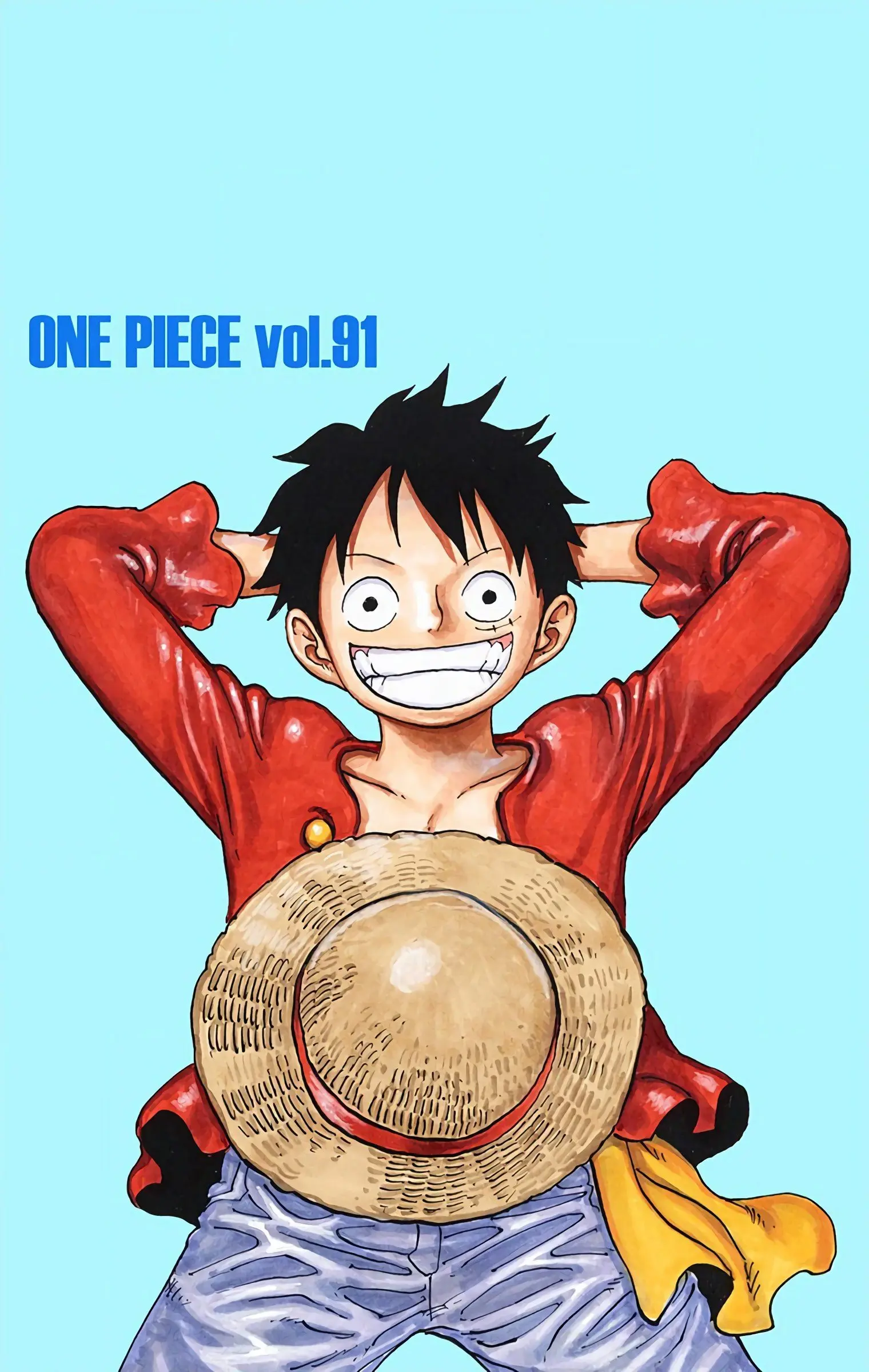 One Piece Colored, chapter 911, page 6