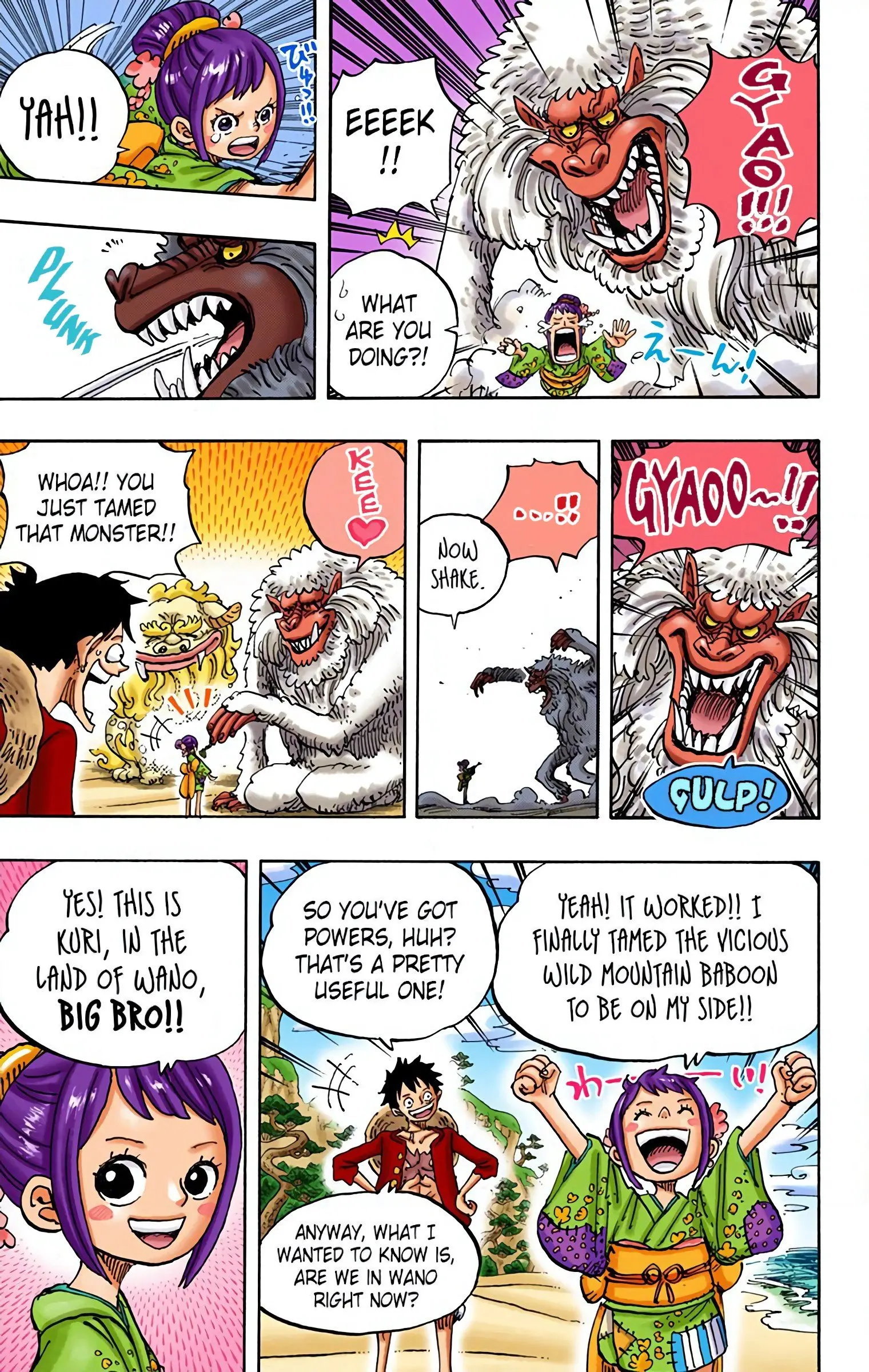 One Piece Colored, chapter 911, page 16