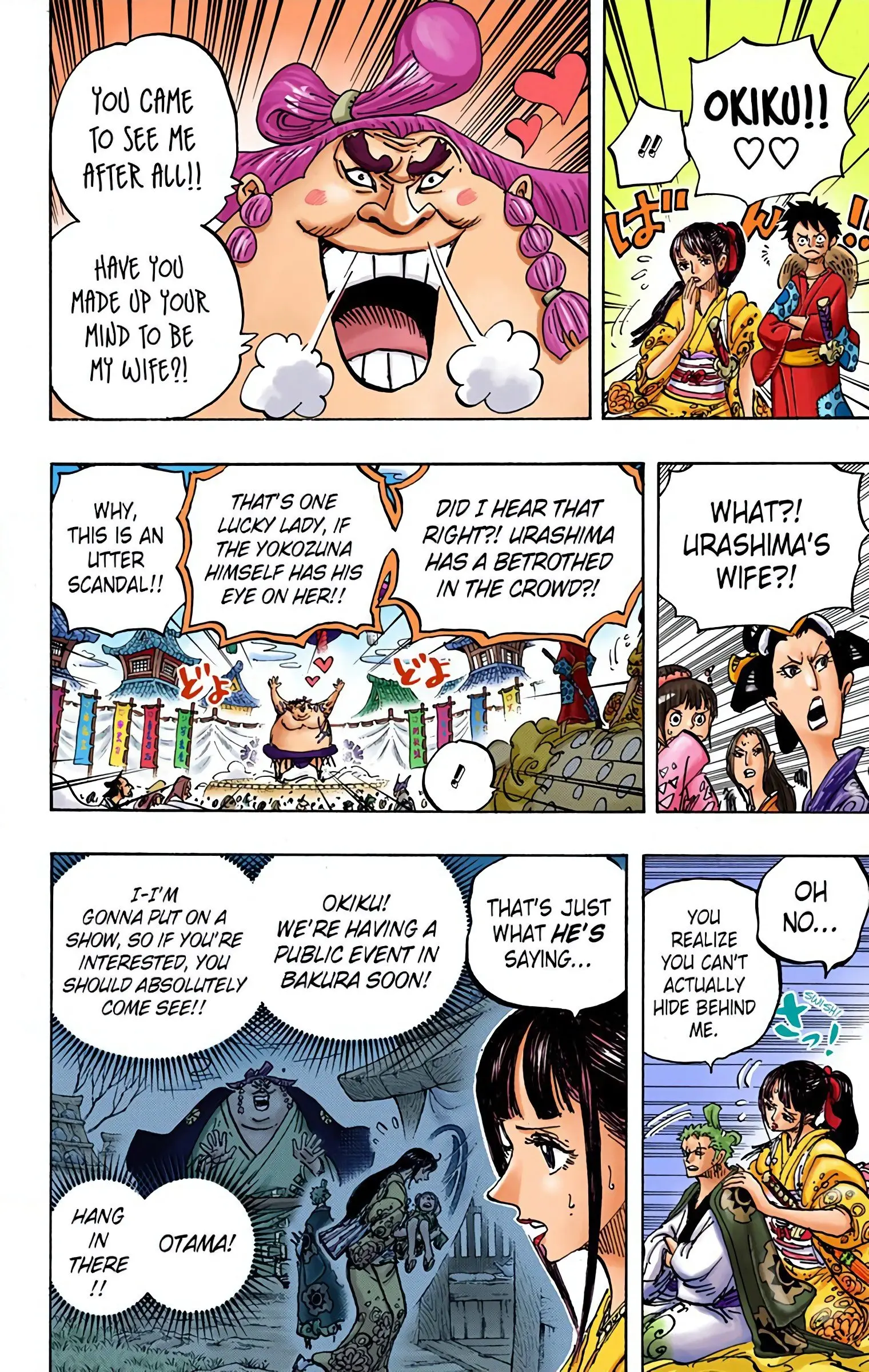 One Piece Colored, chapter 915, page 13
