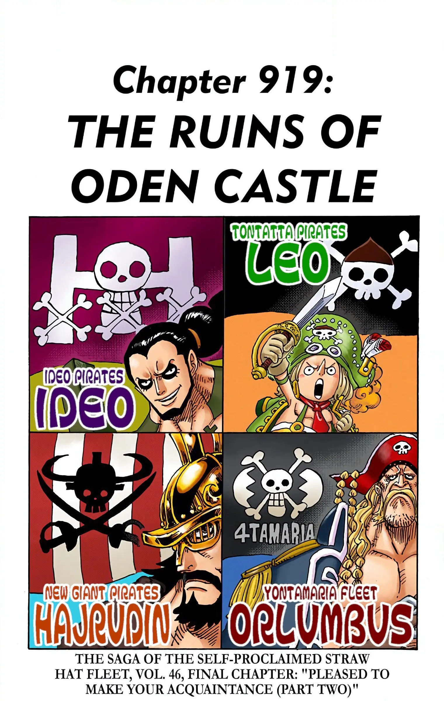 One Piece Colored, chapter 919, page 1