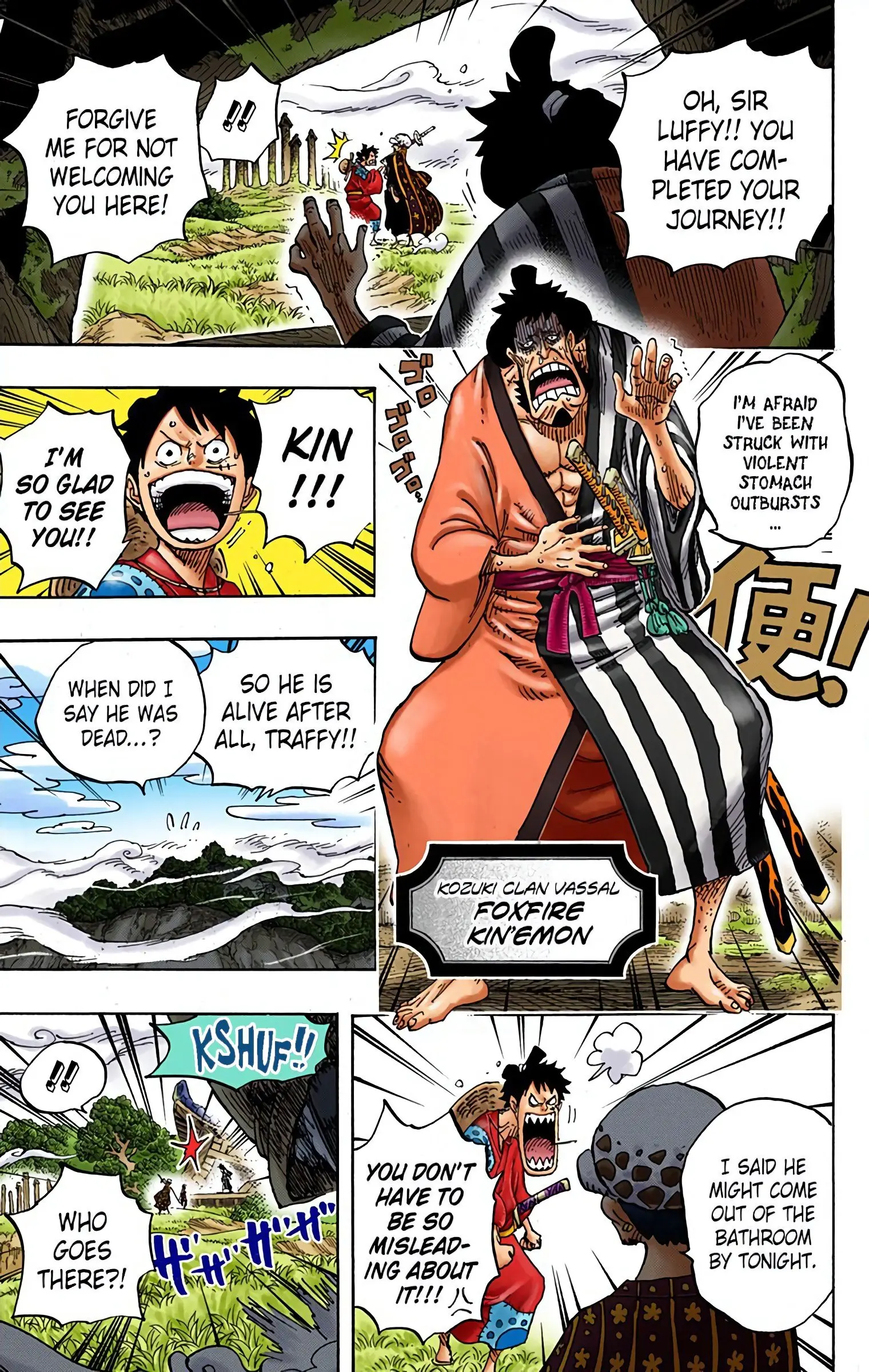 One Piece Colored, chapter 919, page 11
